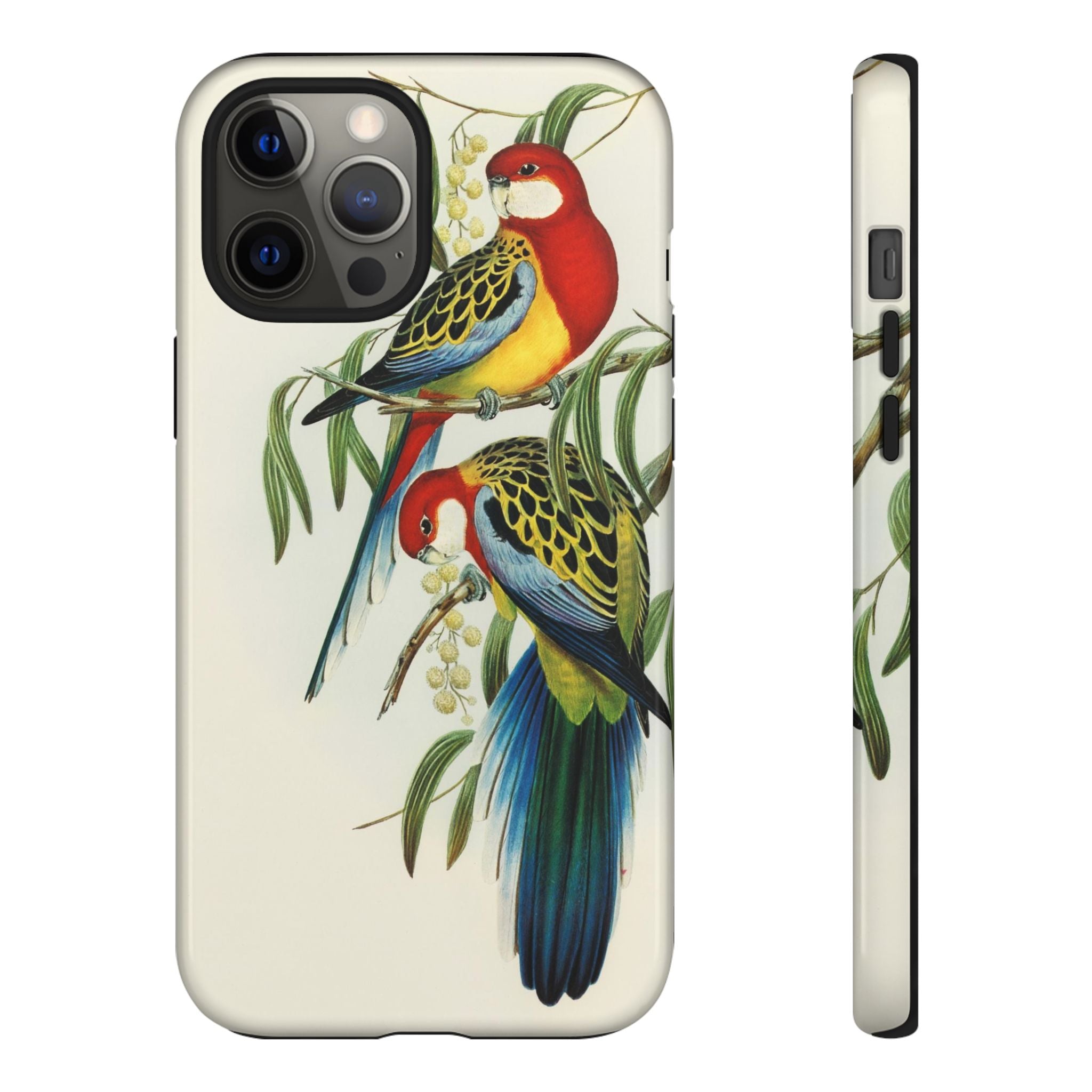 Rosehill Parakeet by Elizabeth Gould - Tough Case