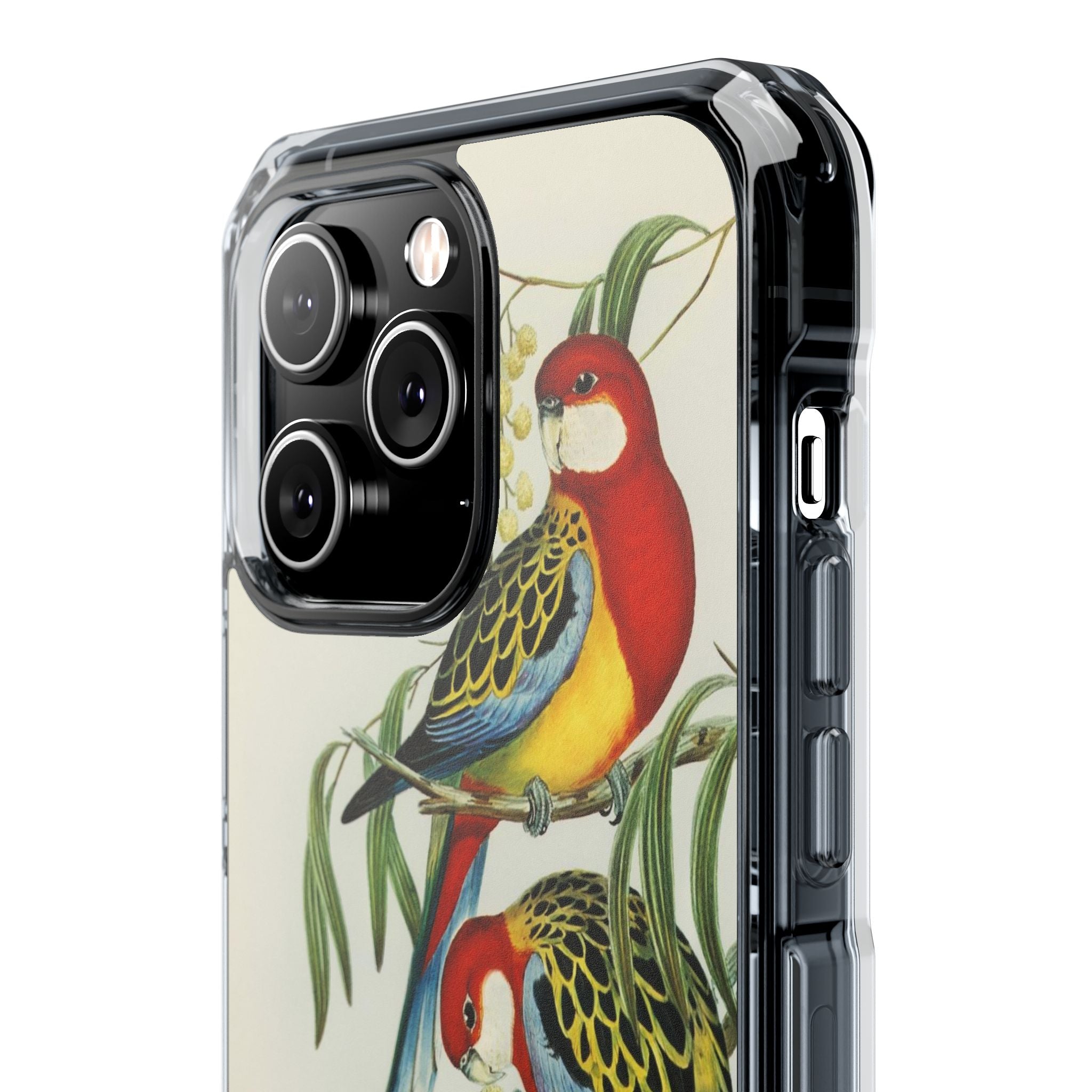 Rosehill Parakeet by Elizabeth Gould - Magnetic Clear Impact Case