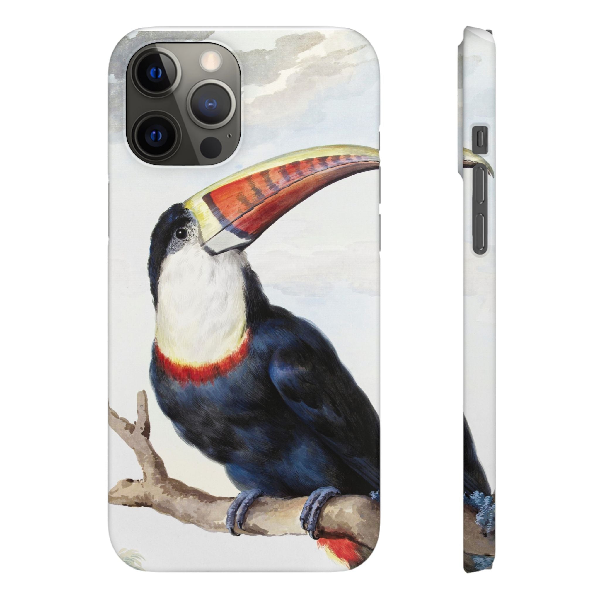 Red-billed Toucan (1748) - Snap Case
