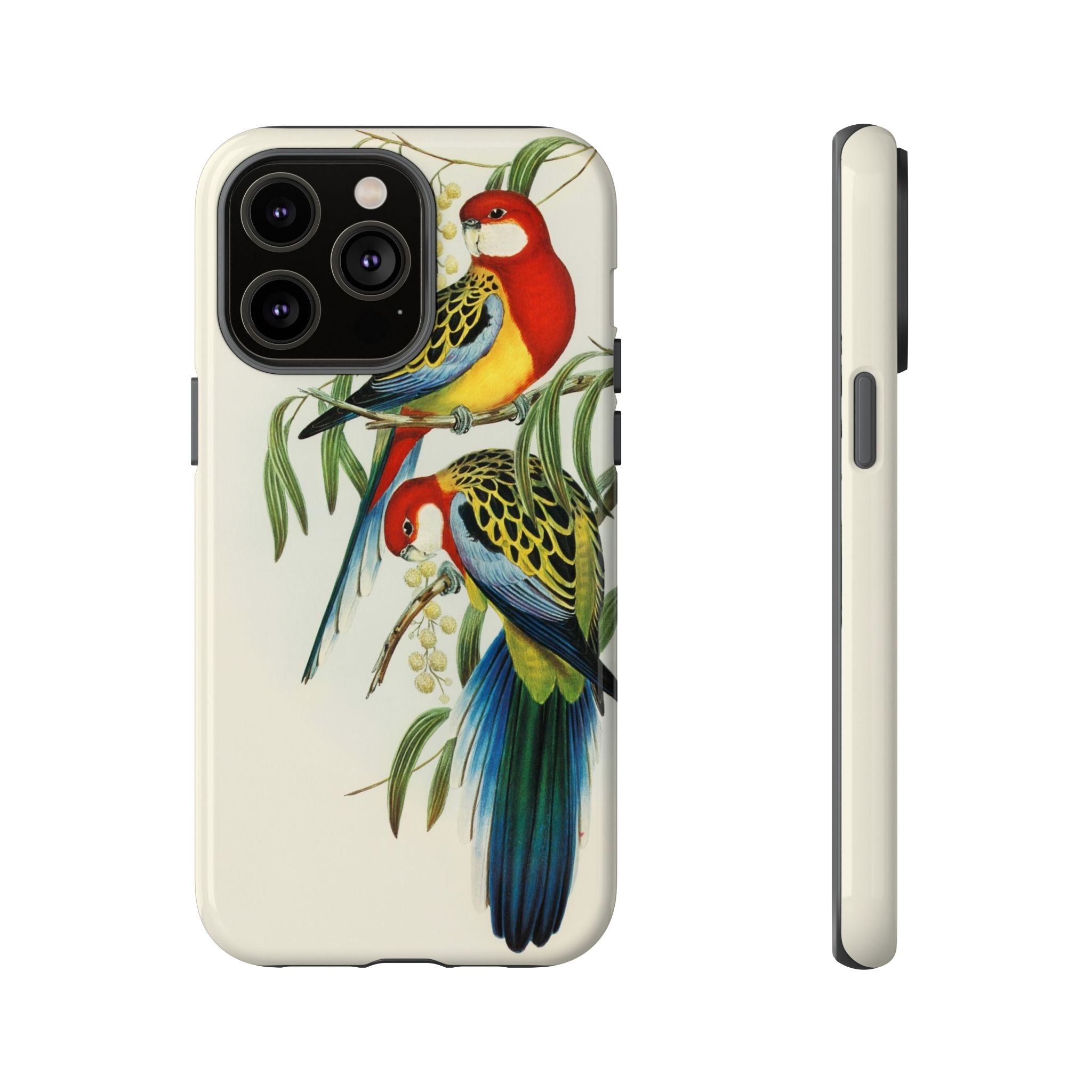 Rosehill Parakeet by Elizabeth Gould - Tough Case