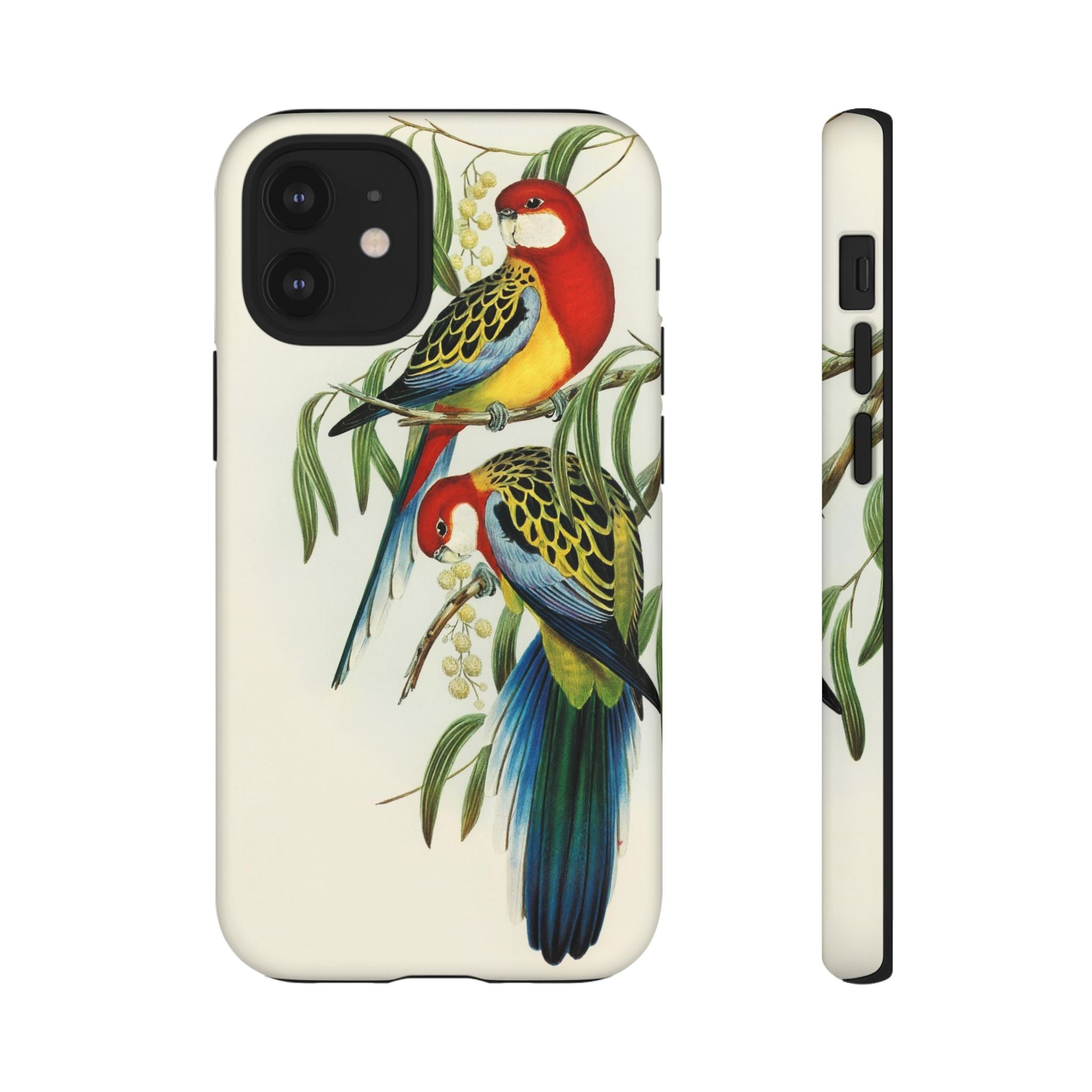 Rosehill Parakeet by Elizabeth Gould - Tough Case