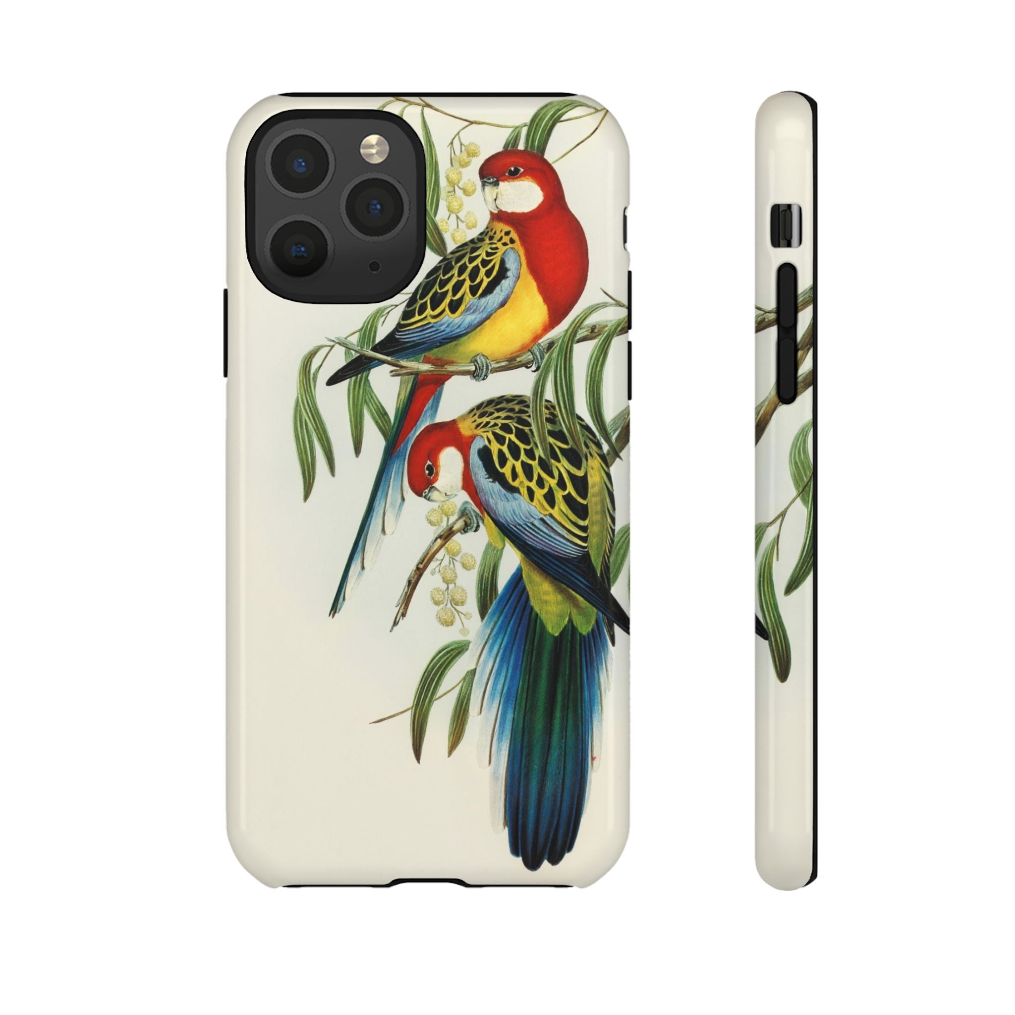 Rosehill Parakeet by Elizabeth Gould - Tough Case