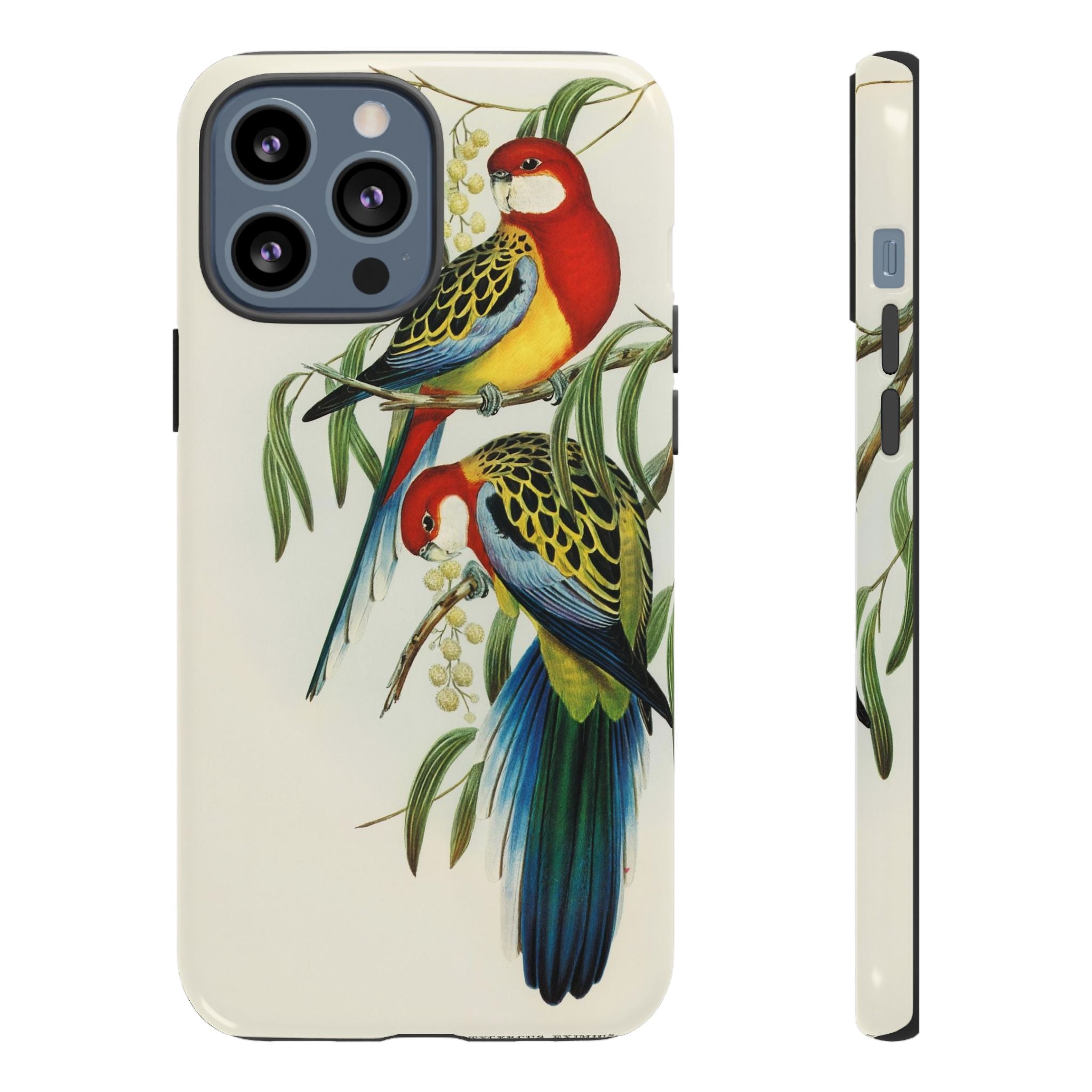 Rosehill Parakeet by Elizabeth Gould - Tough Case