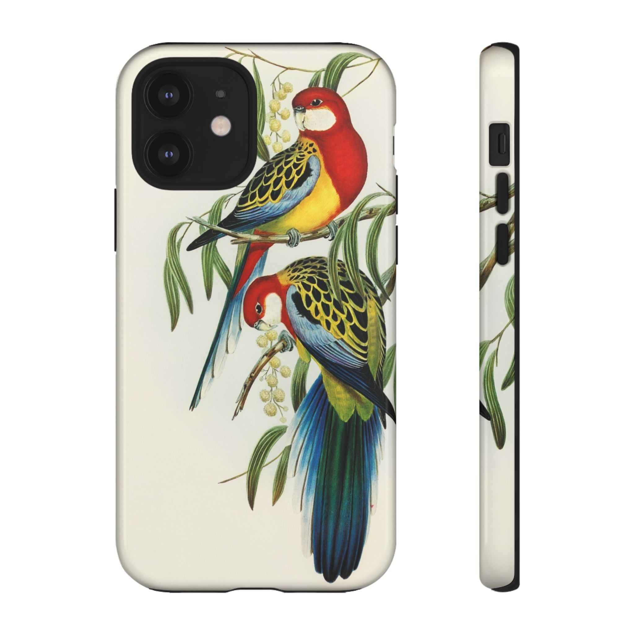 Rosehill Parakeet by Elizabeth Gould - Tough Case