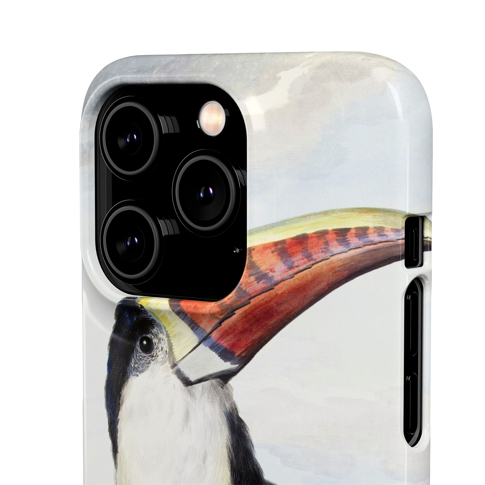 Red-billed Toucan (1748) - Snap Case