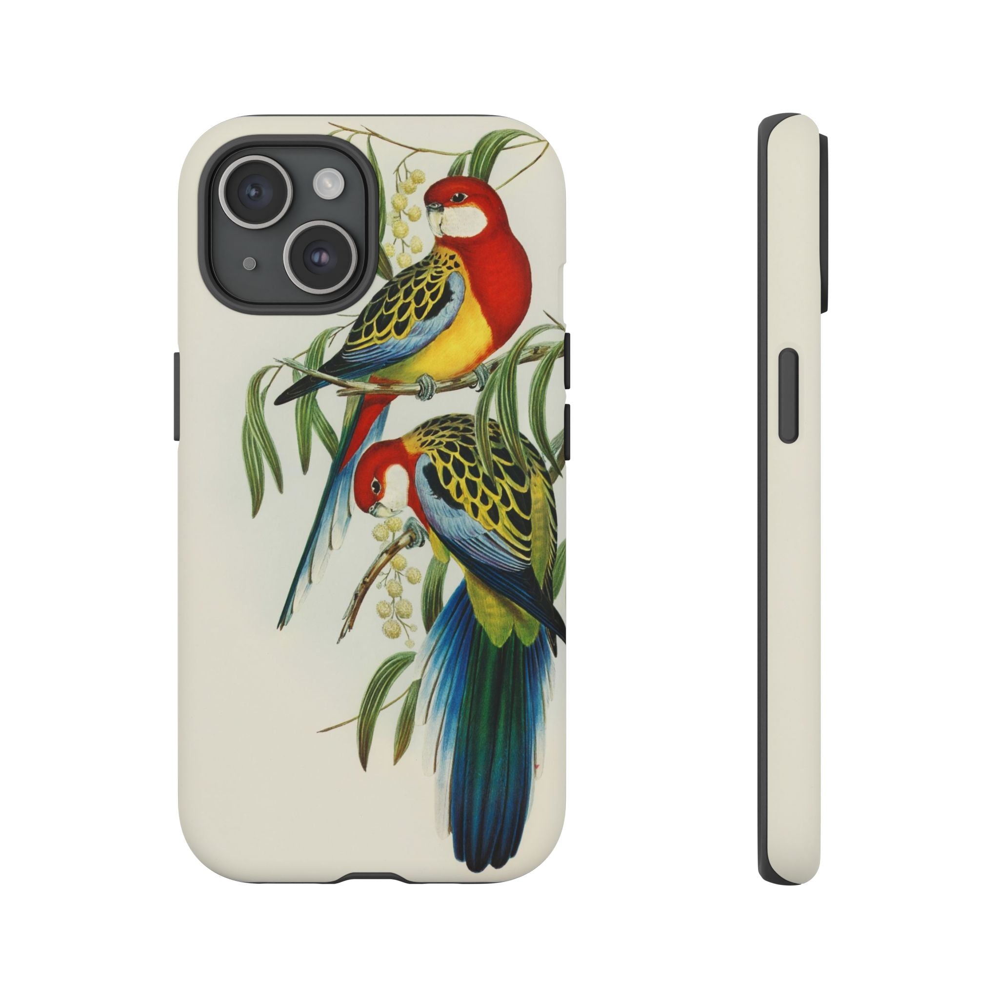 Rosehill Parakeet by Elizabeth Gould - Tough Case