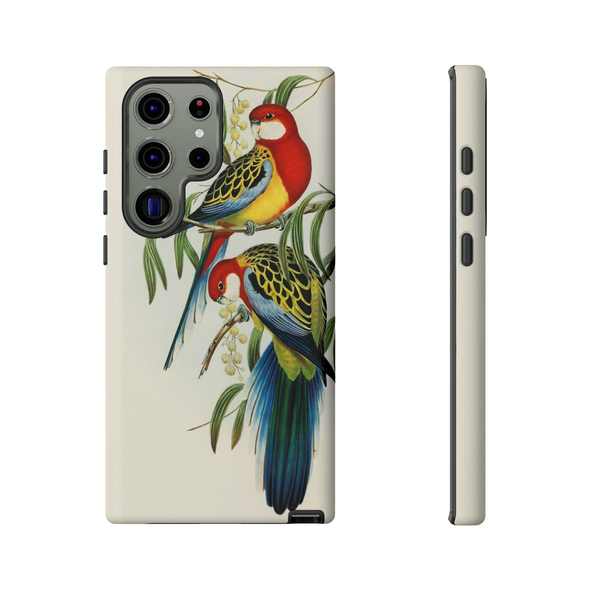 Rosehill Parakeet by Elizabeth Gould - Tough Case