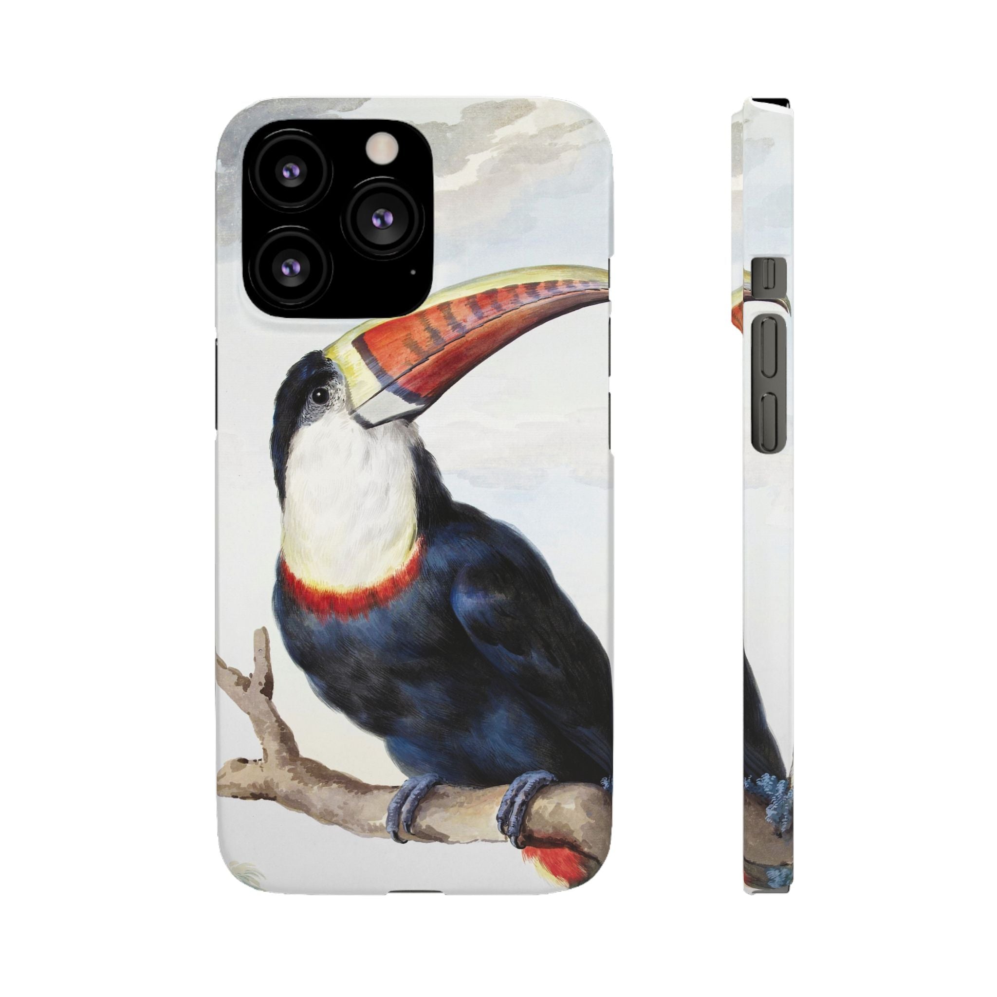 Red-billed Toucan (1748) - Snap Case