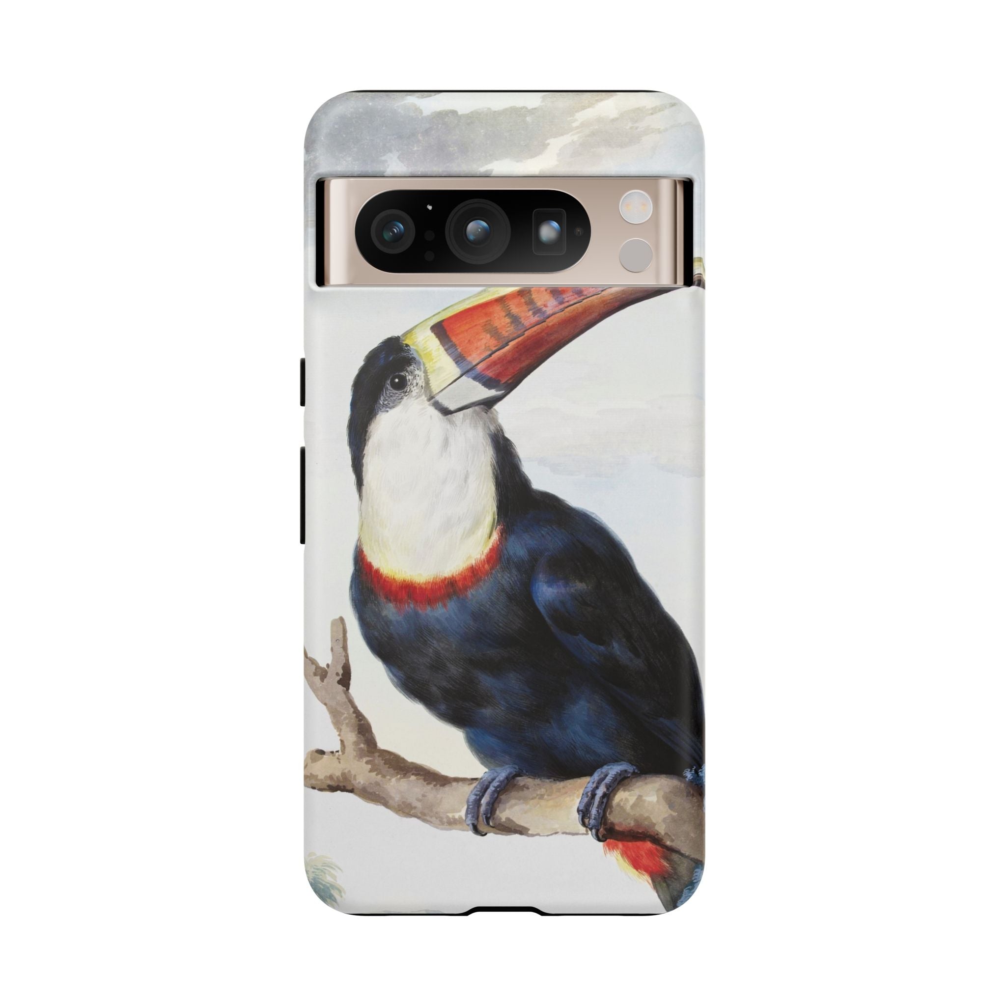 Red-billed Toucan (1748) - Tough Case