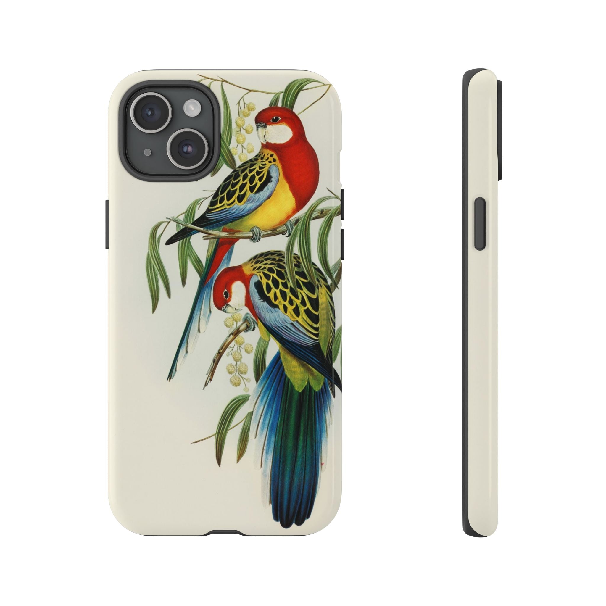 Rosehill Parakeet by Elizabeth Gould - Tough Case