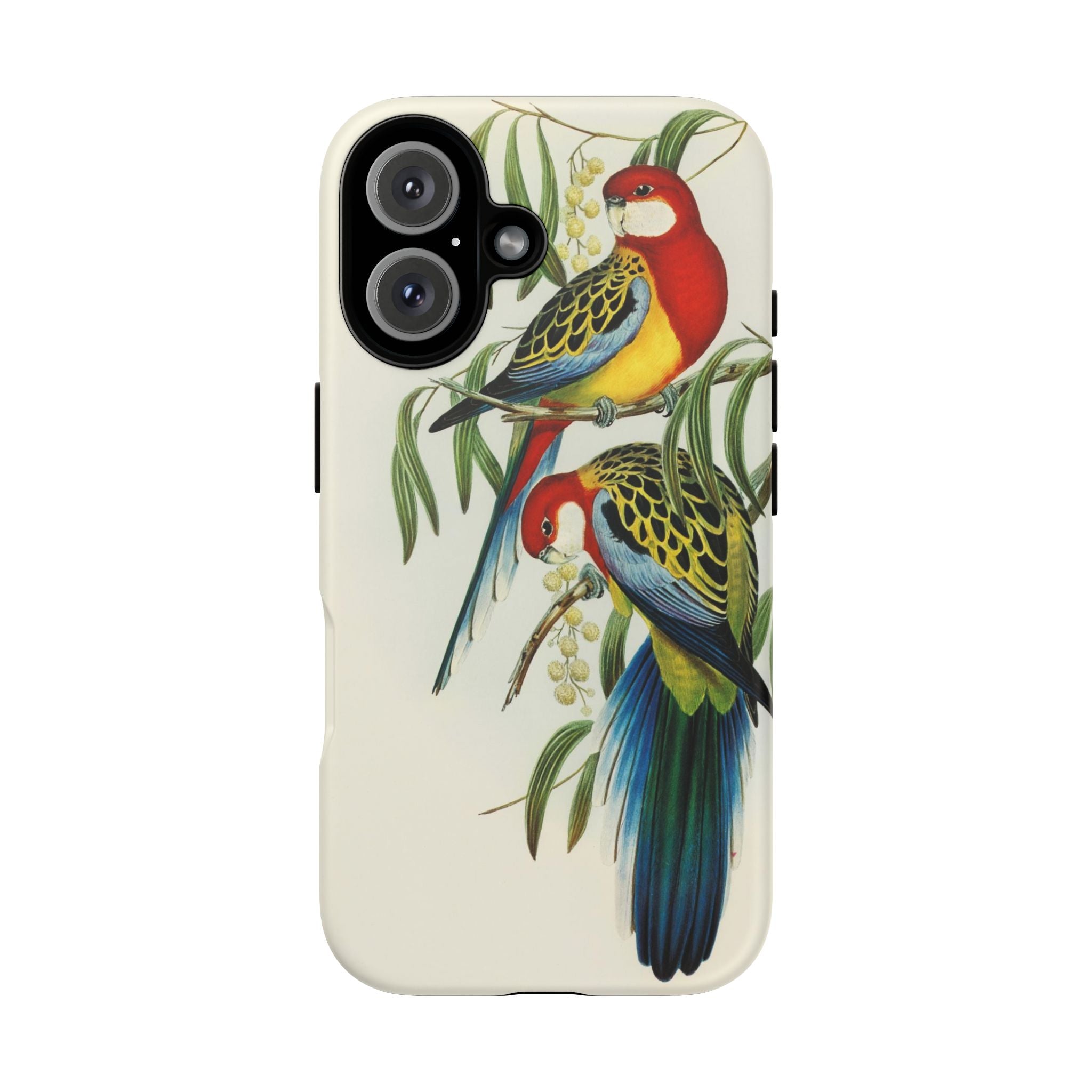 Rosehill Parakeet by Elizabeth Gould - Tough Case