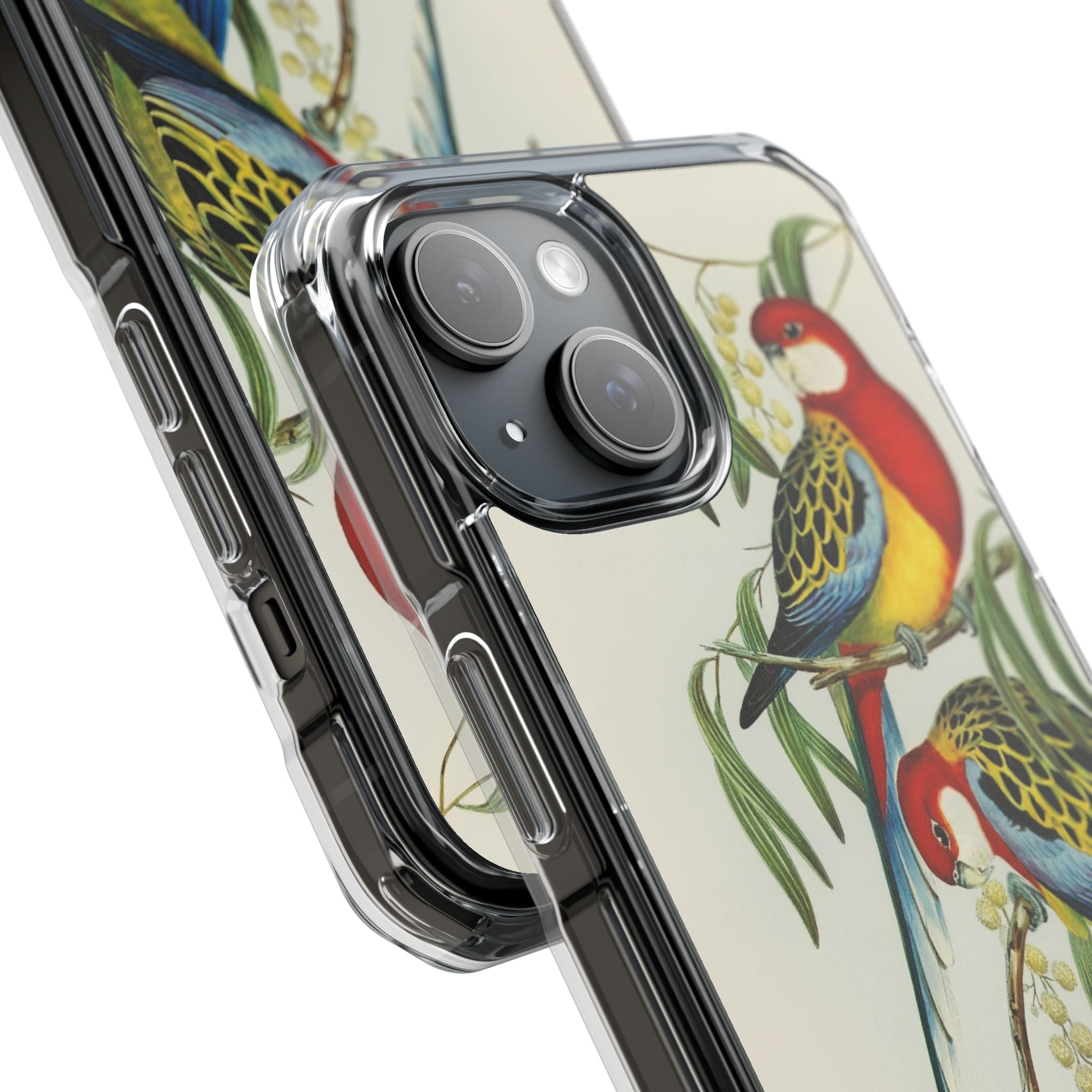Rosehill Parakeet by Elizabeth Gould - Magnetic Clear Impact Case