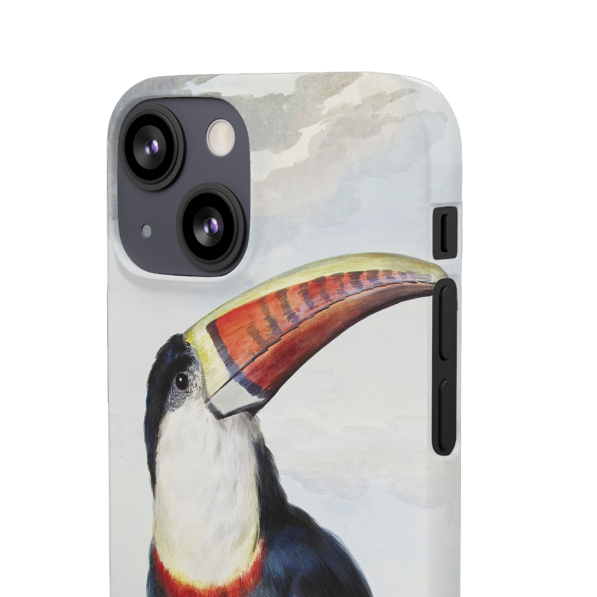 Red-billed Toucan (1748) - Snap Case