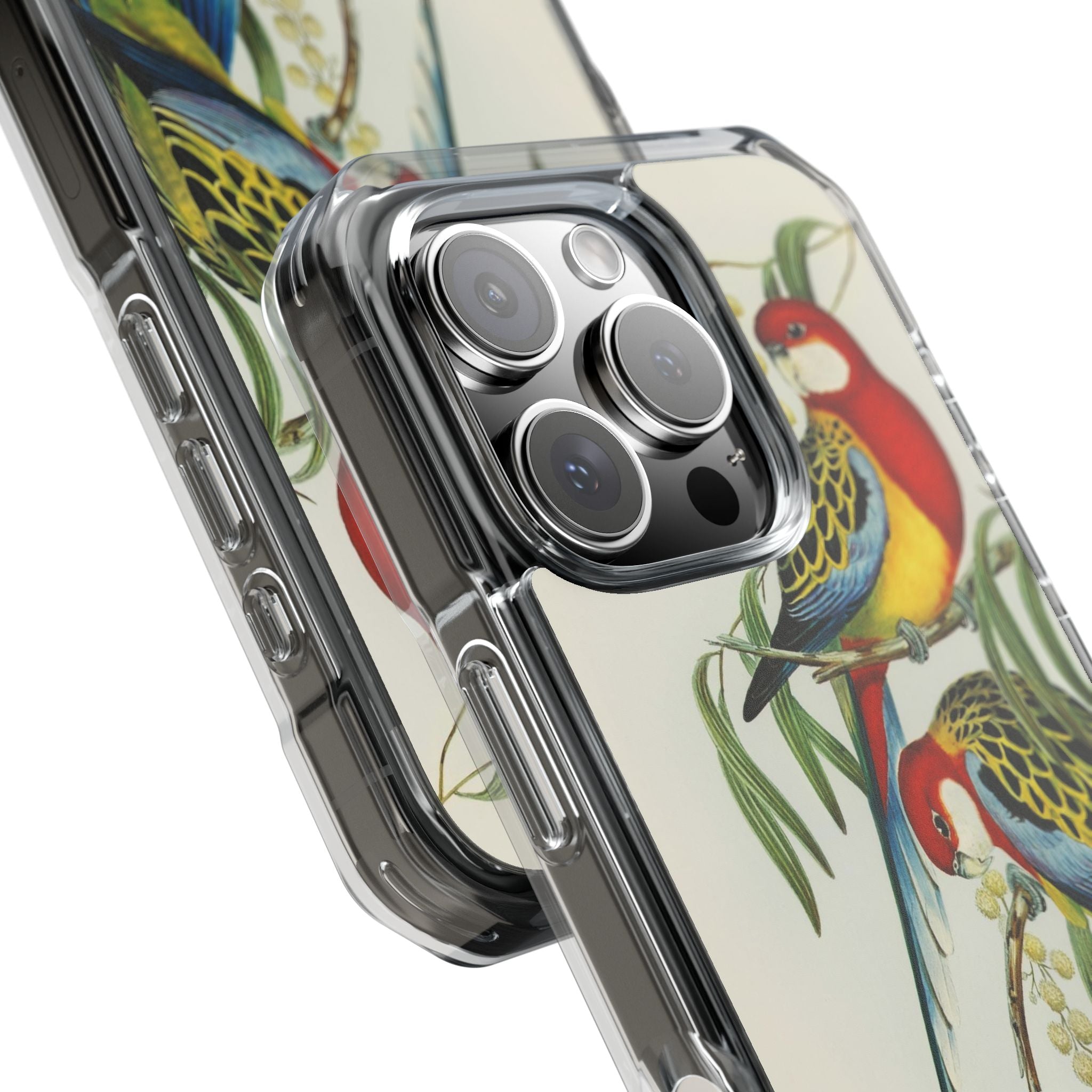 Rosehill Parakeet by Elizabeth Gould - Magnetic Clear Impact Case