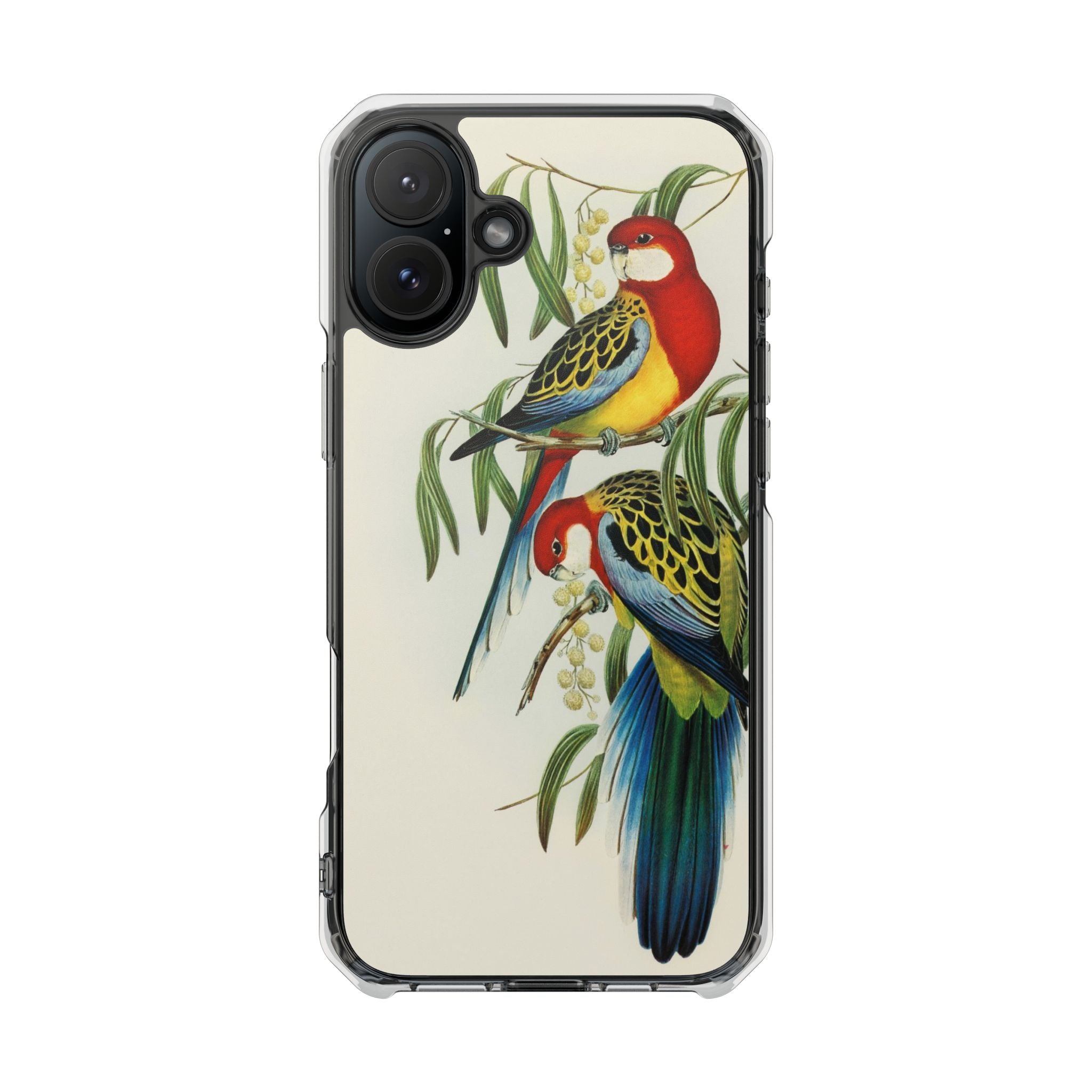 Rosehill Parakeet by Elizabeth Gould - Magnetic Clear Impact Case