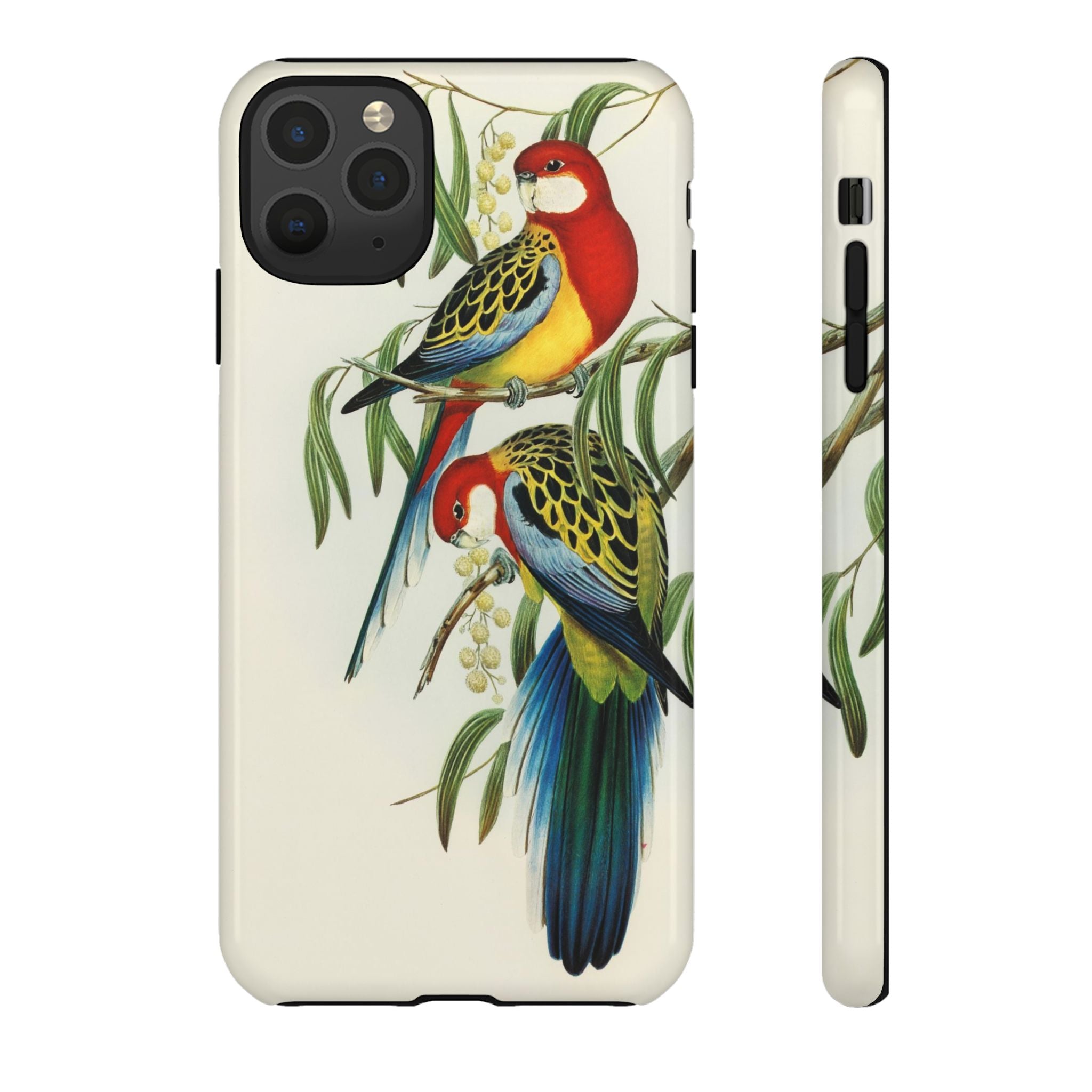 Rosehill Parakeet by Elizabeth Gould - Tough Case