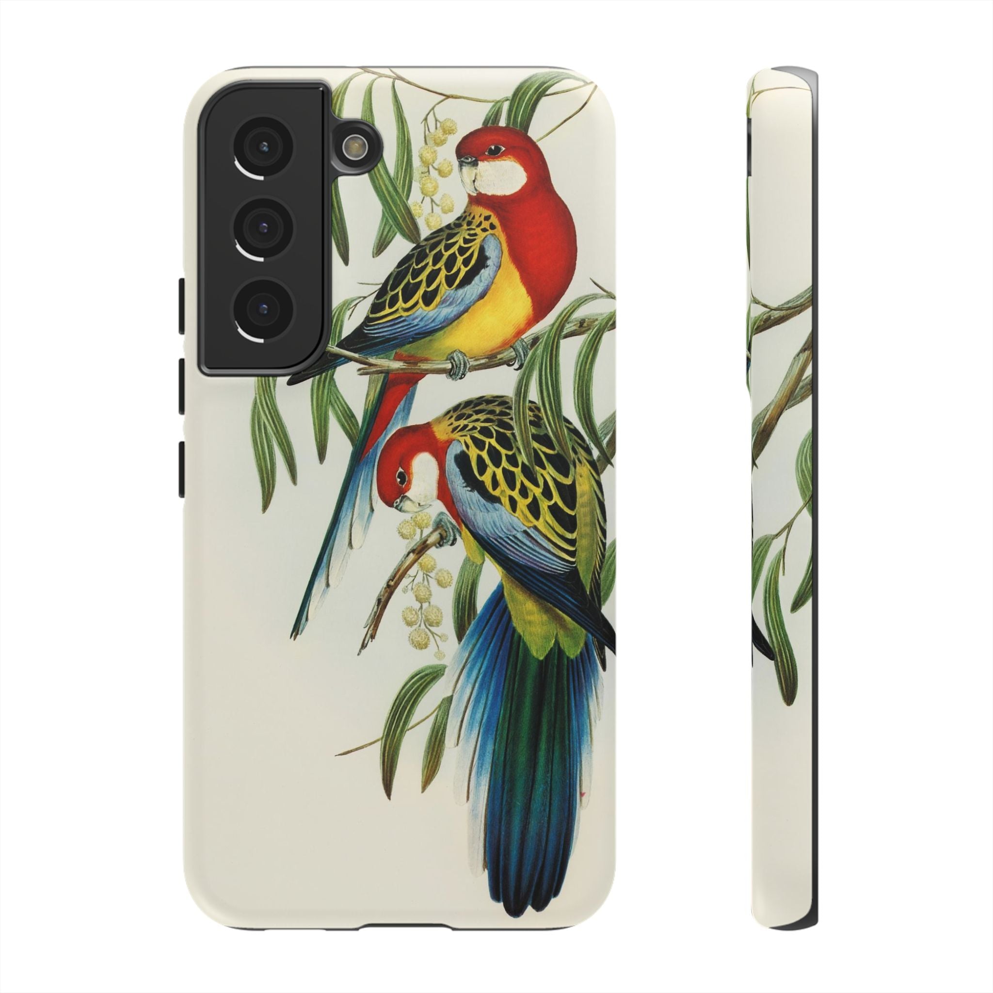 Rosehill Parakeet by Elizabeth Gould - Tough Case