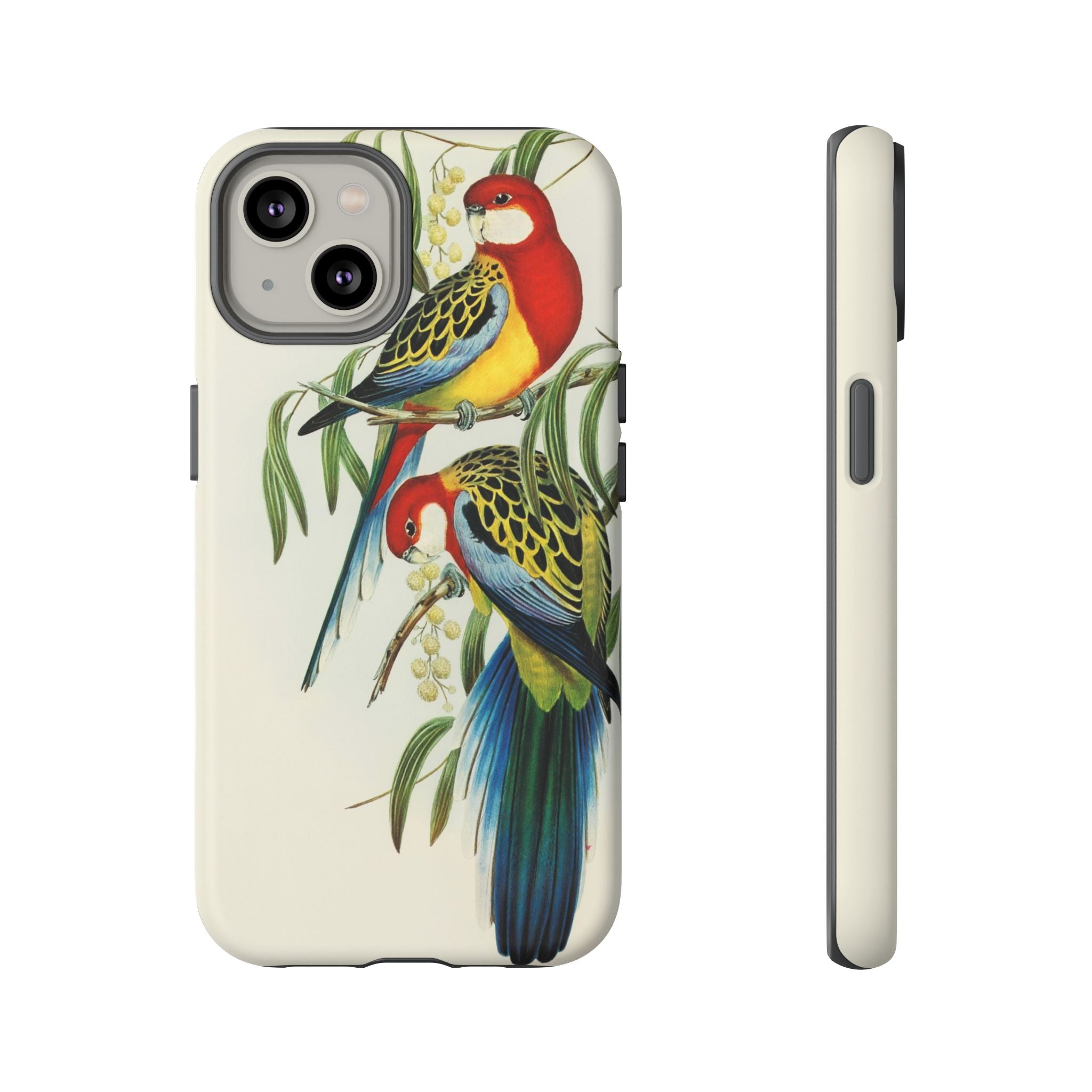 Rosehill Parakeet by Elizabeth Gould - Tough Case