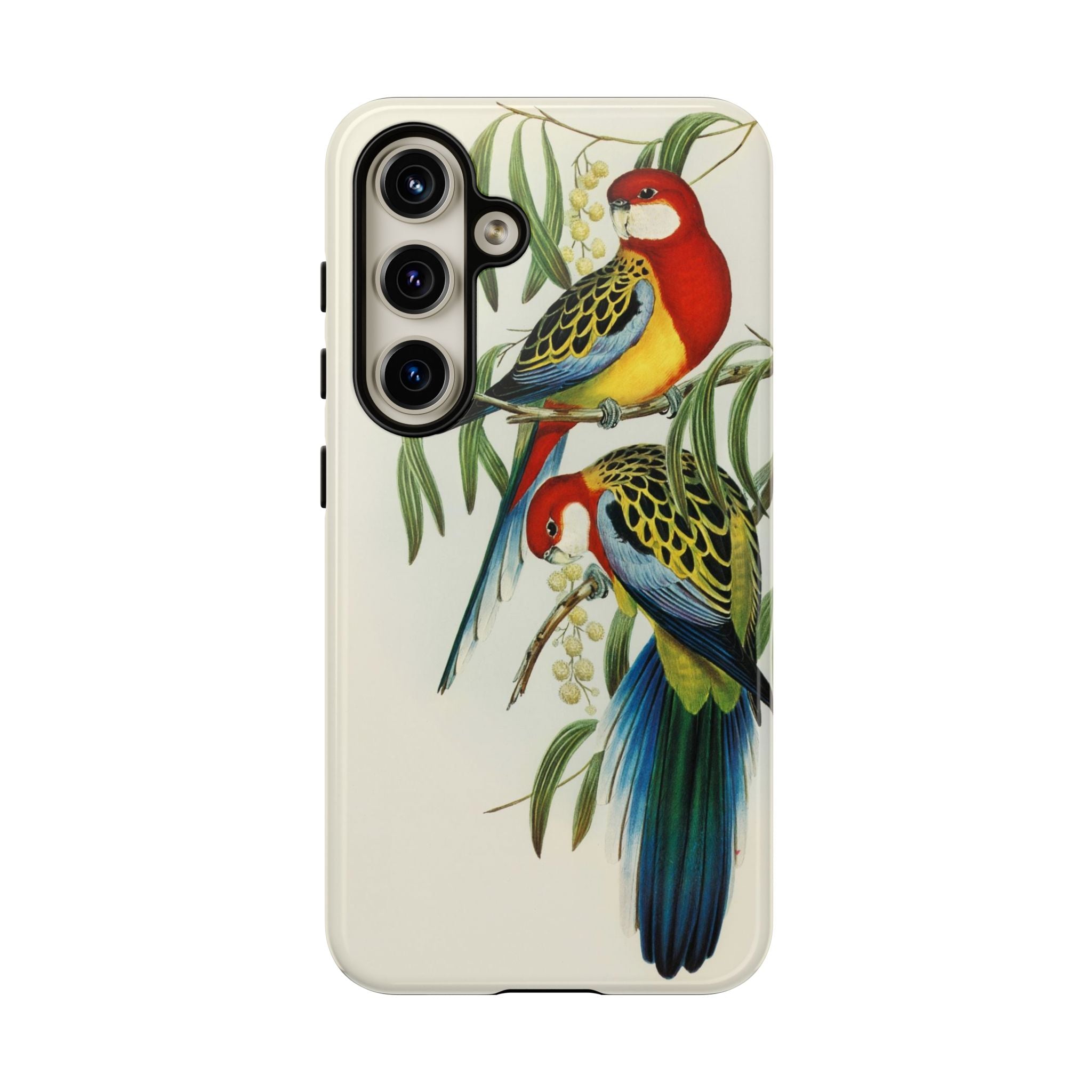 Rosehill Parakeet by Elizabeth Gould - Tough Case