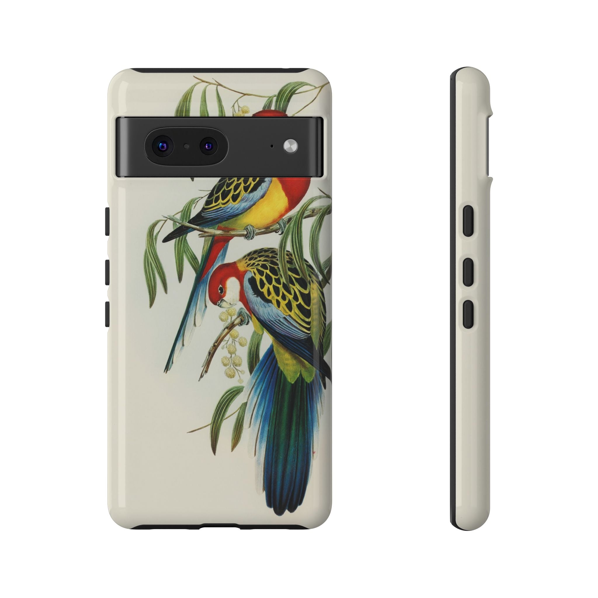 Rosehill Parakeet by Elizabeth Gould - Tough Case