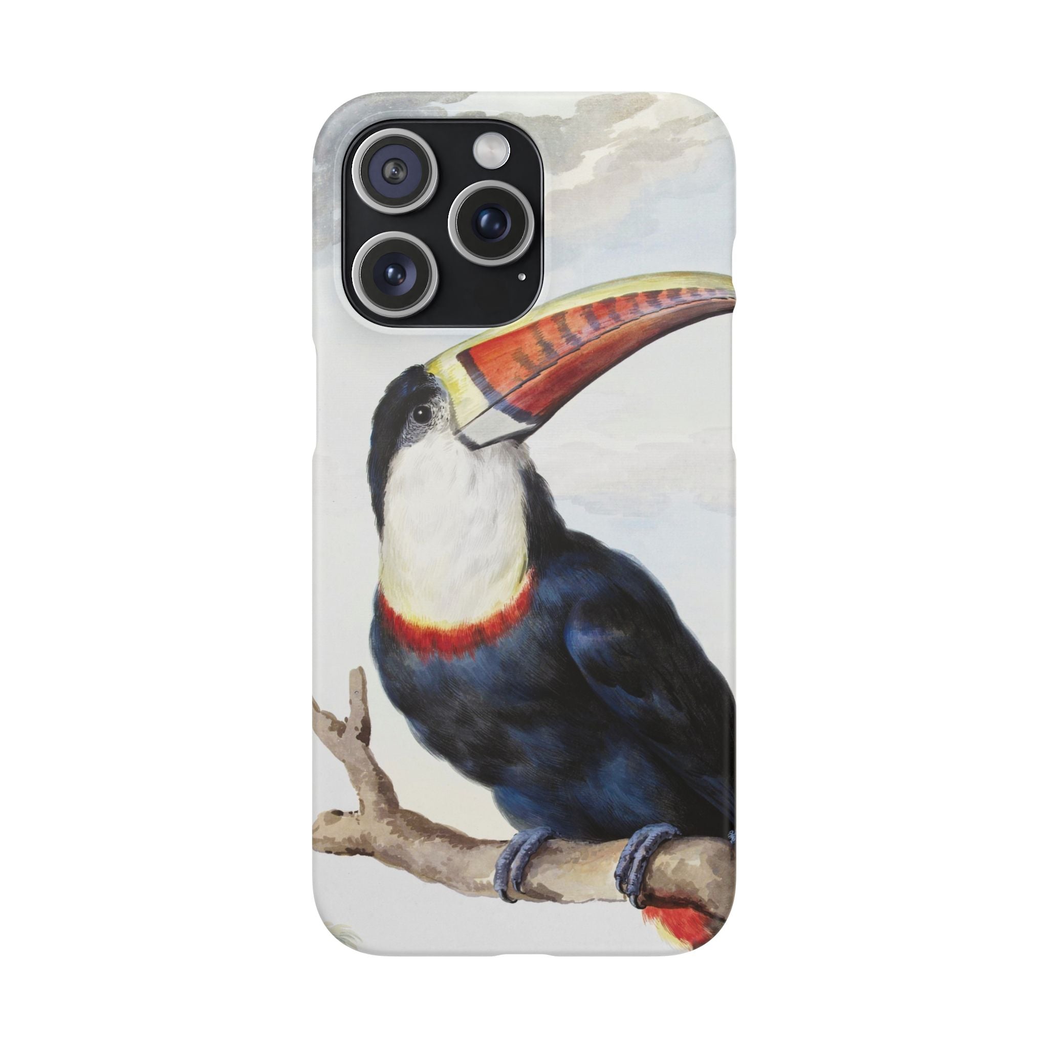 Red-billed Toucan (1748) - Snap Case