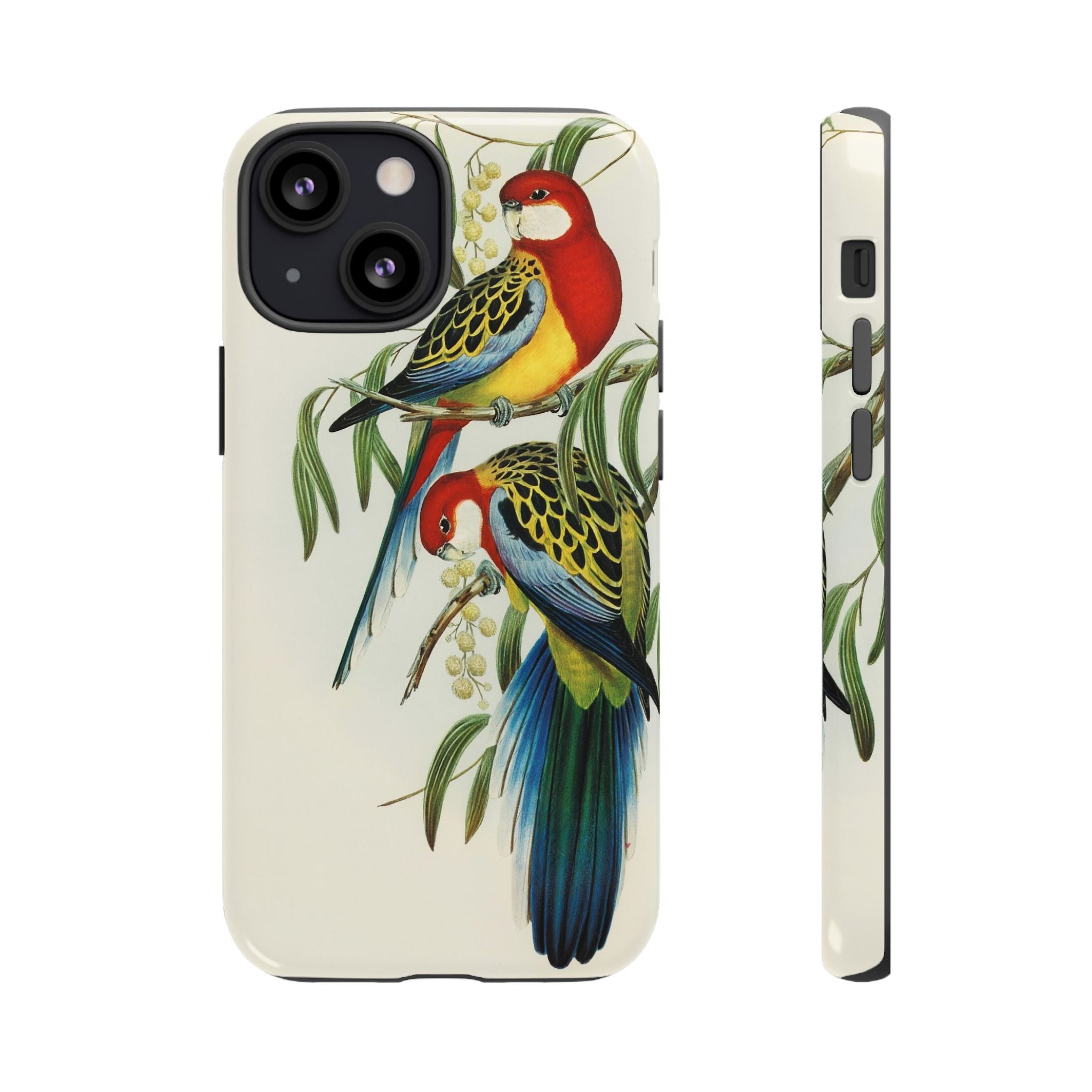 Rosehill Parakeet by Elizabeth Gould - Tough Case