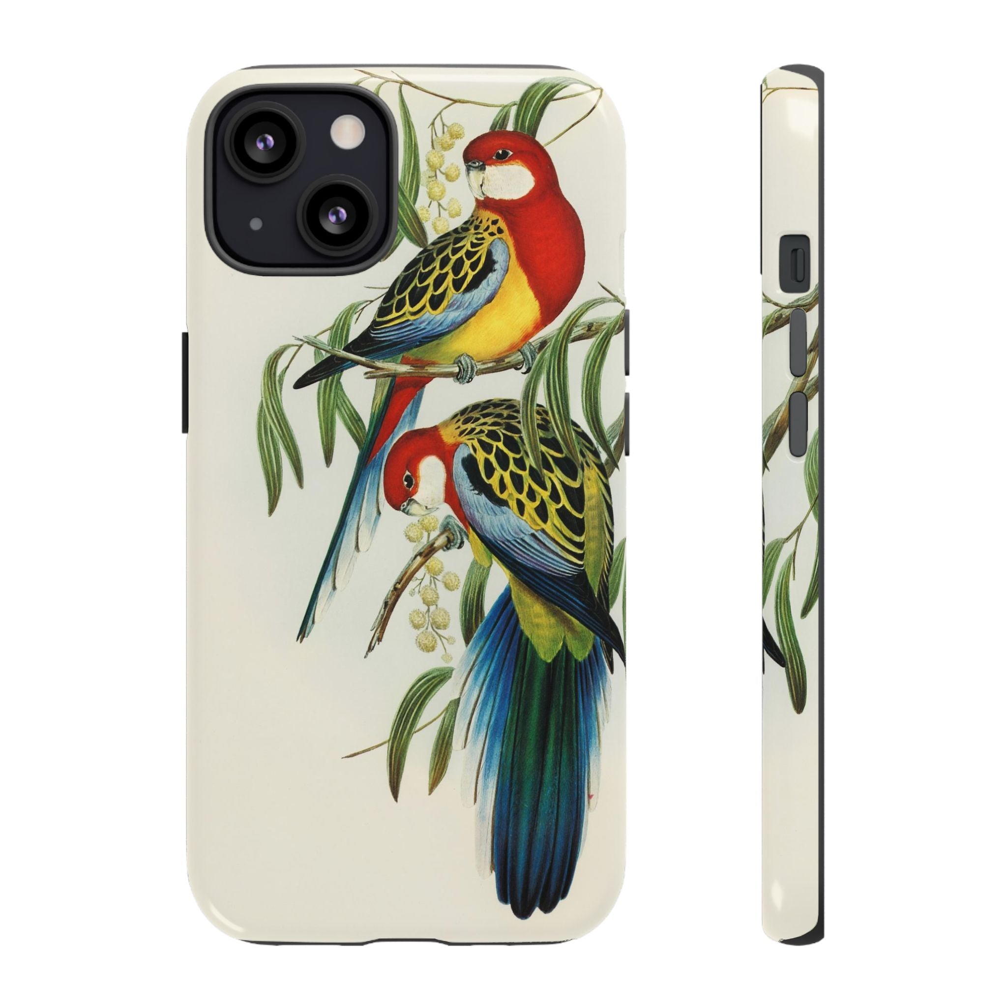Rosehill Parakeet by Elizabeth Gould - Tough Case