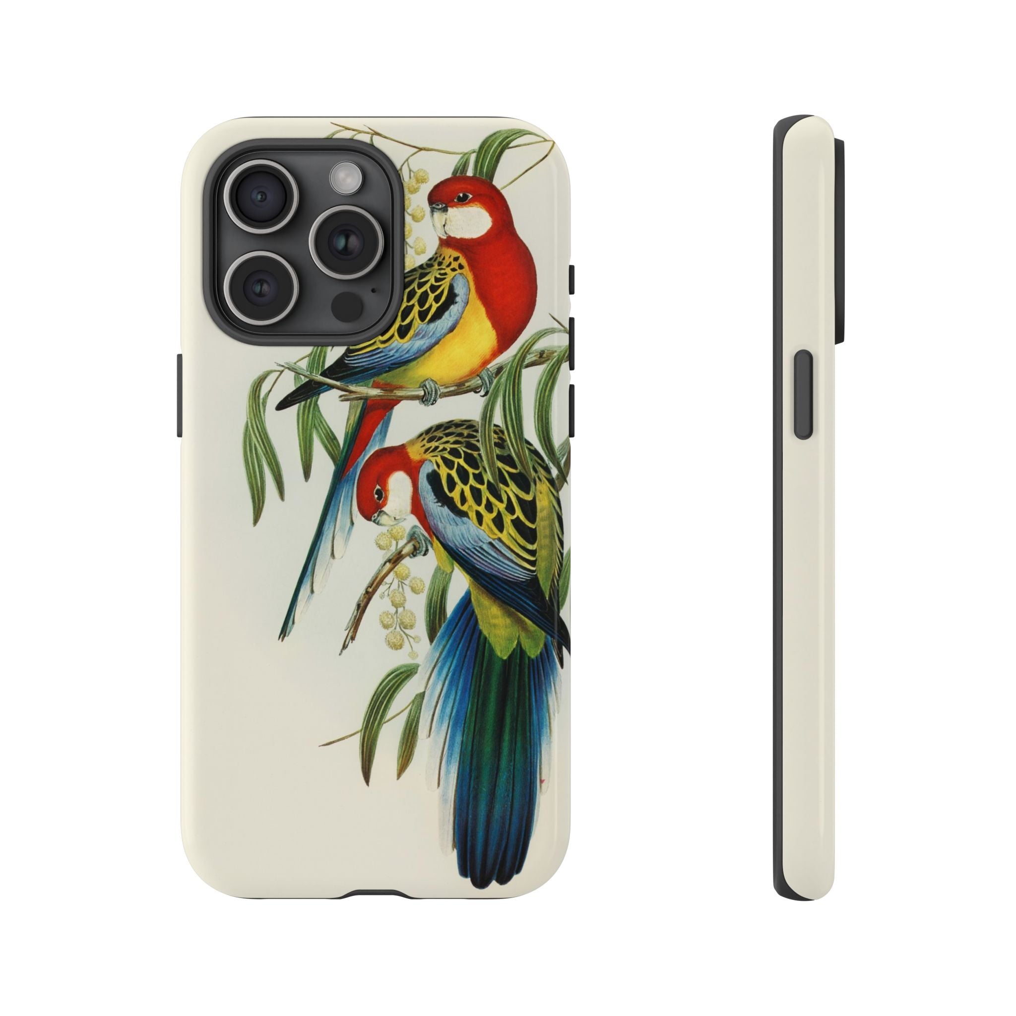 Rosehill Parakeet by Elizabeth Gould - Tough Case