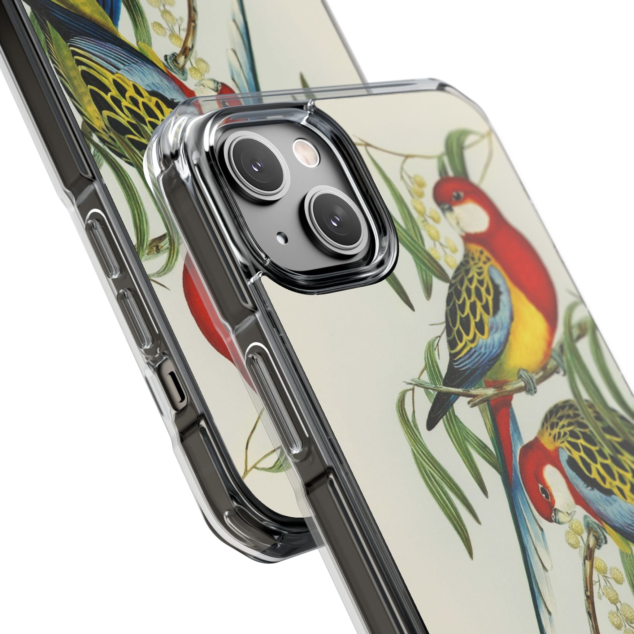 Rosehill Parakeet by Elizabeth Gould - Magnetic Clear Impact Case