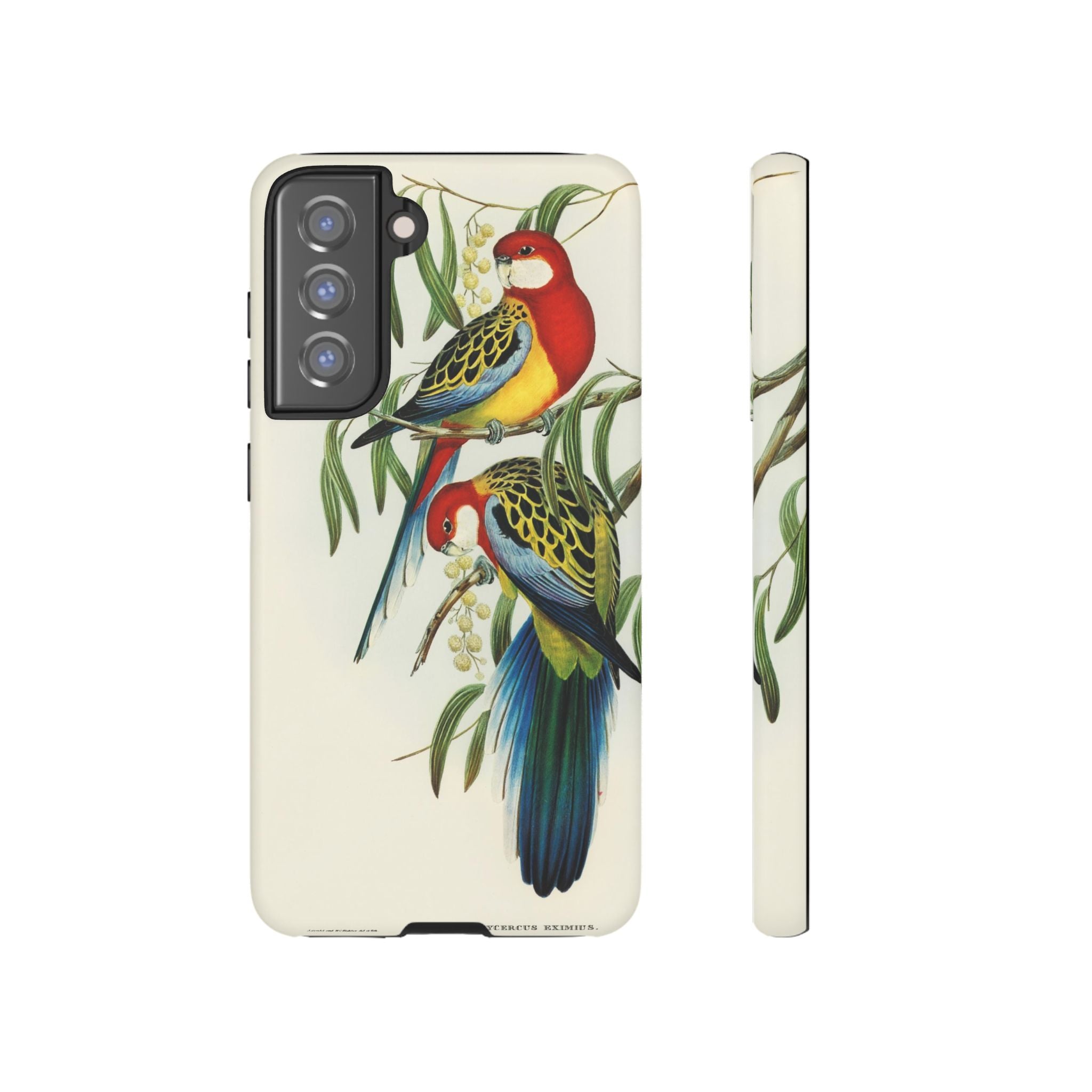 Rosehill Parakeet by Elizabeth Gould - Tough Case