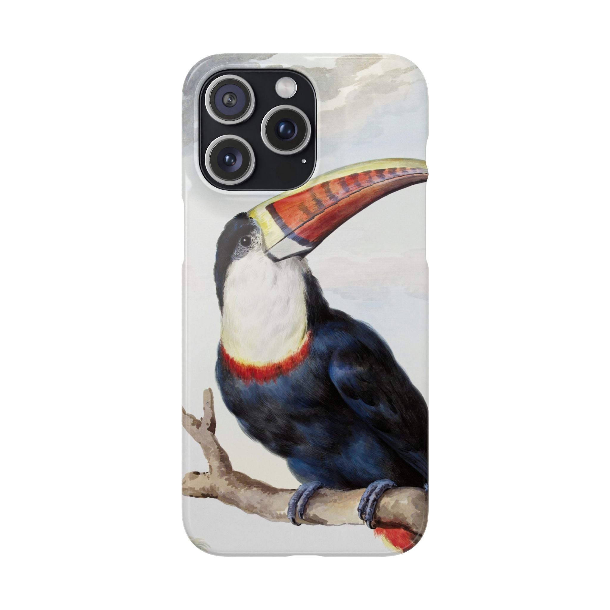 Red-billed Toucan (1748) - Snap Case