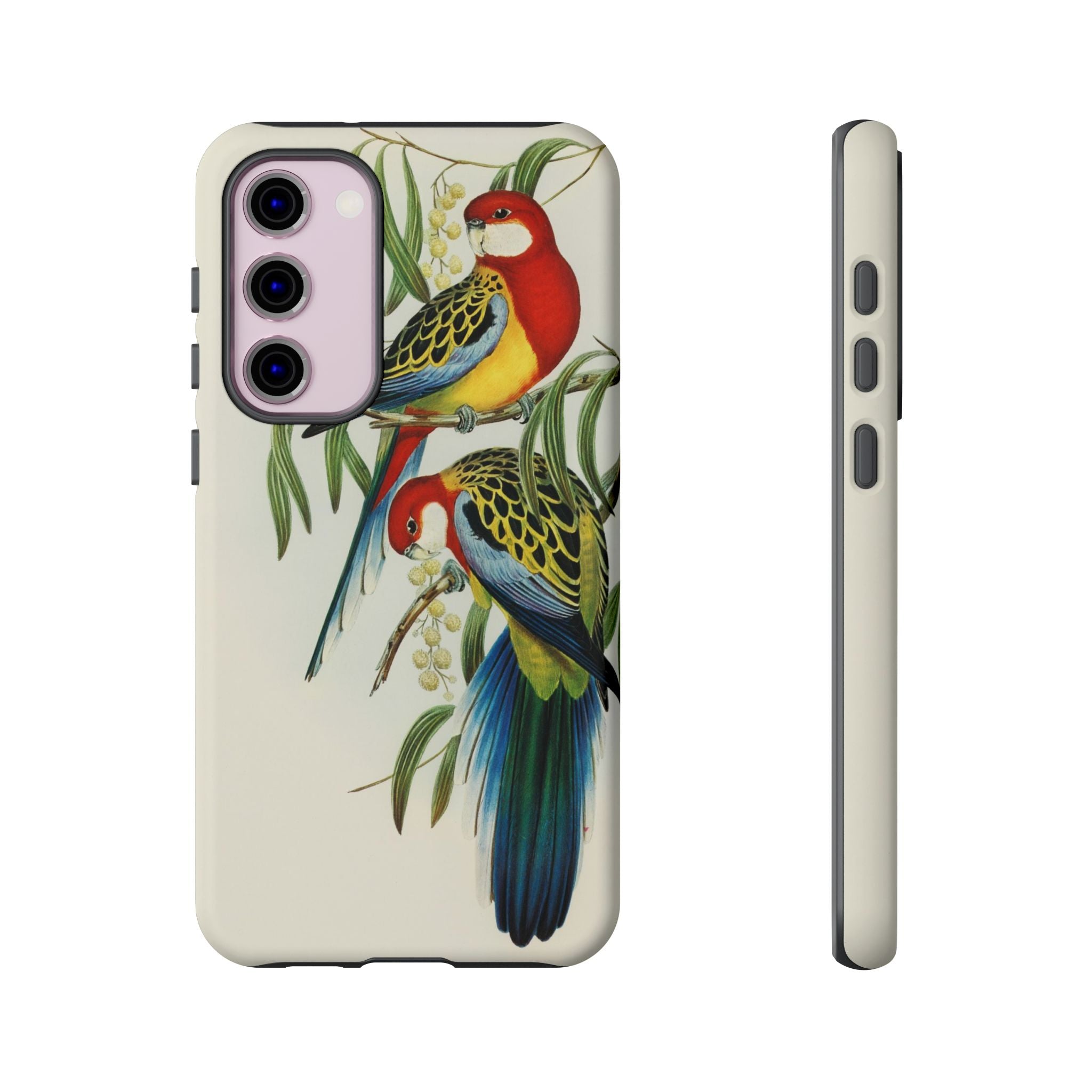 Rosehill Parakeet by Elizabeth Gould - Tough Case