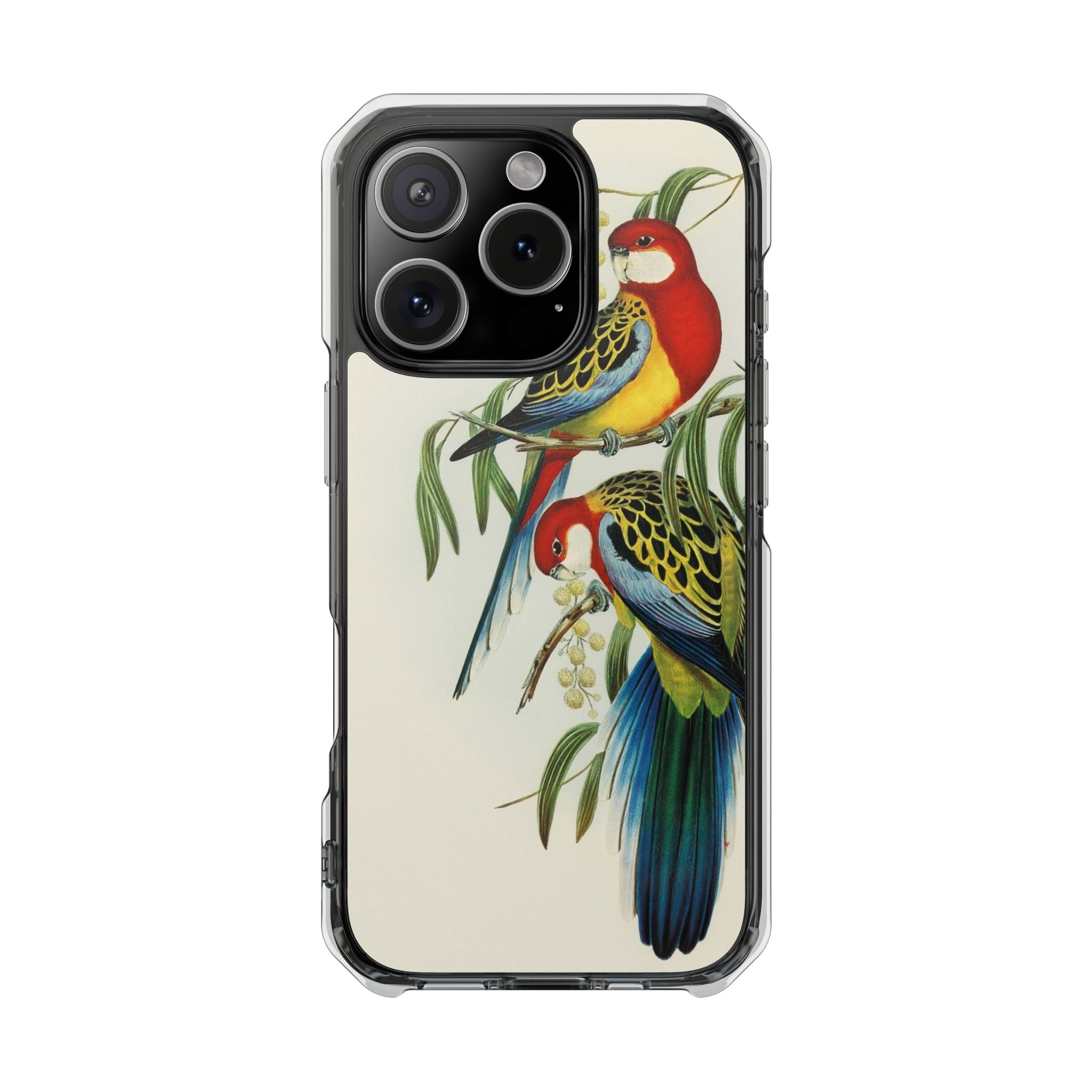 Rosehill Parakeet by Elizabeth Gould - Magnetic Clear Impact Case