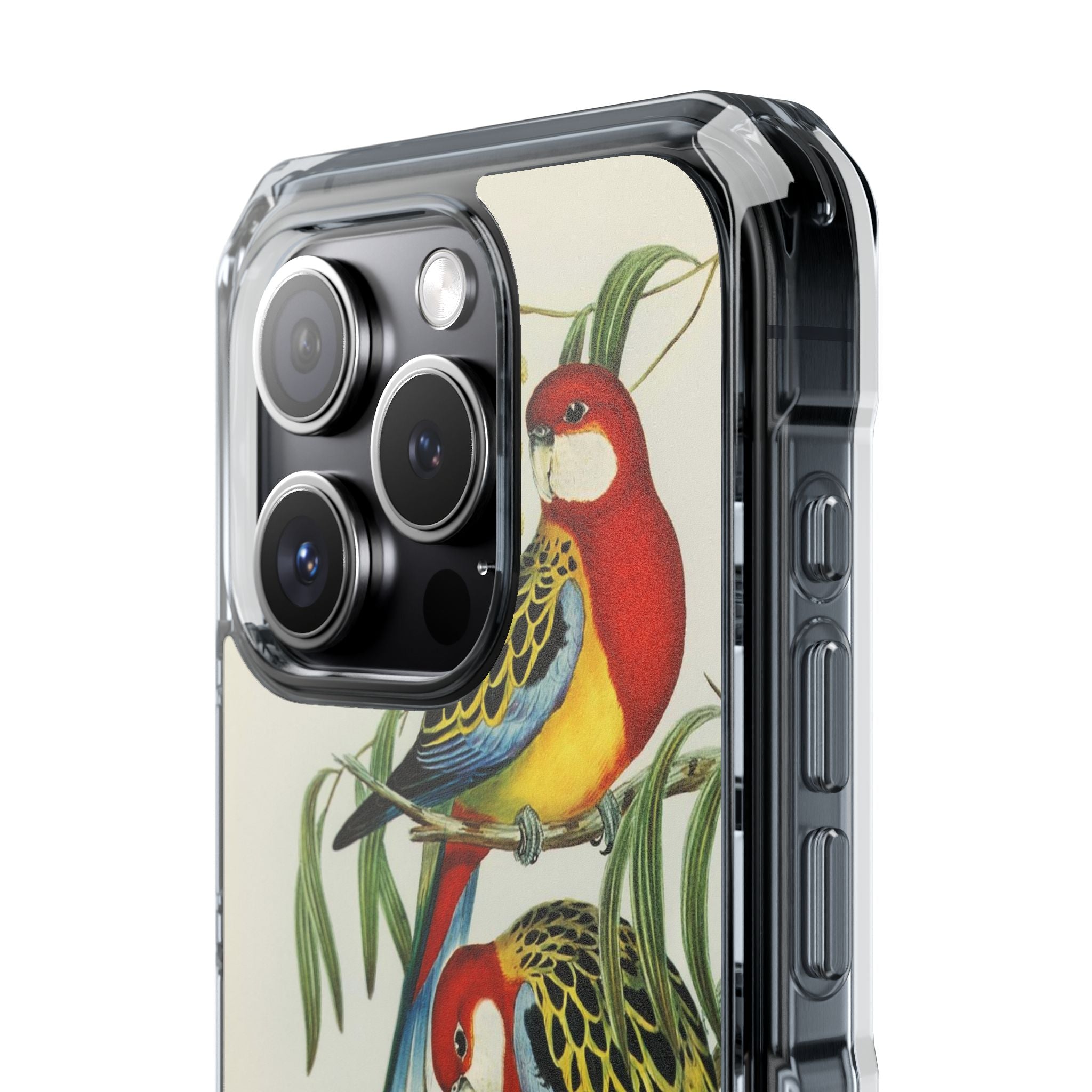 Rosehill Parakeet by Elizabeth Gould - Magnetic Clear Impact Case