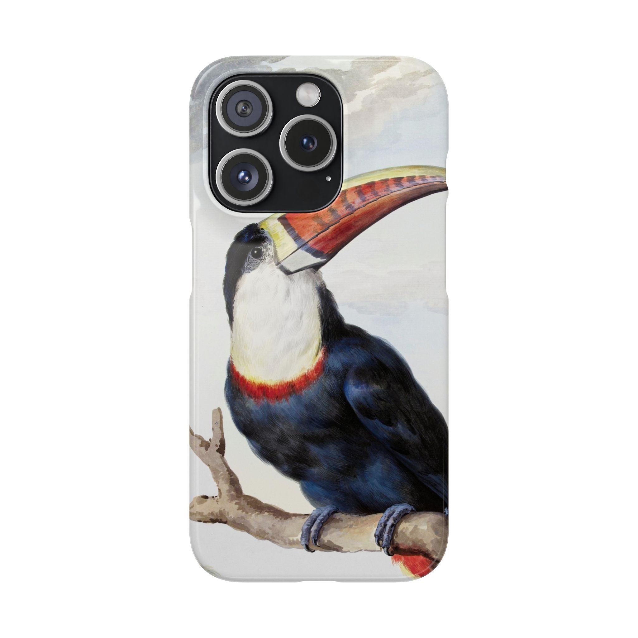 Red-billed Toucan (1748) - Snap Case