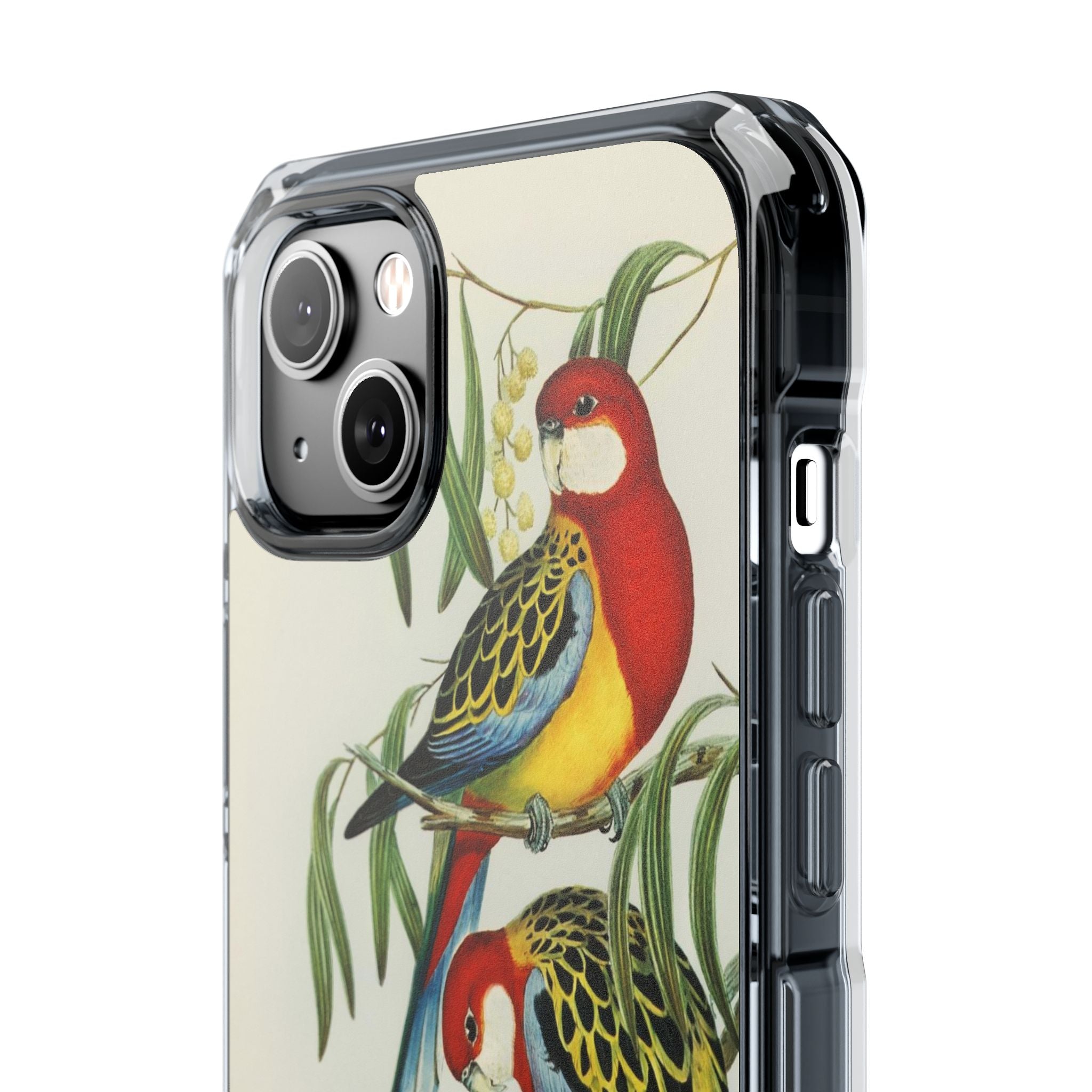 Rosehill Parakeet by Elizabeth Gould - Magnetic Clear Impact Case