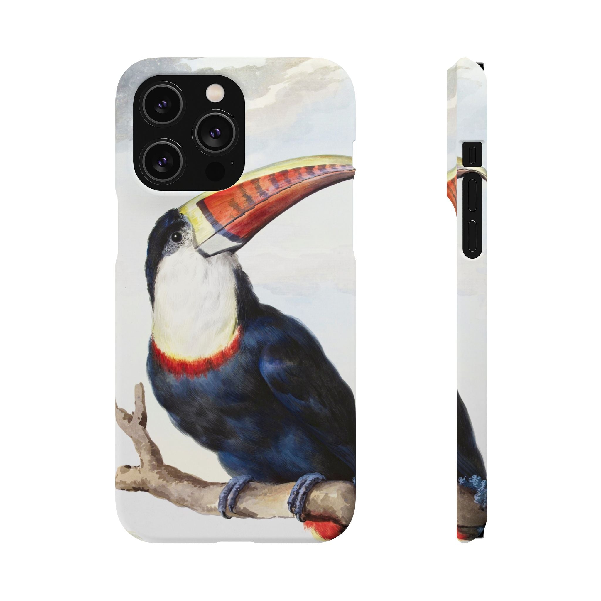 Red-billed Toucan (1748) - Snap Case