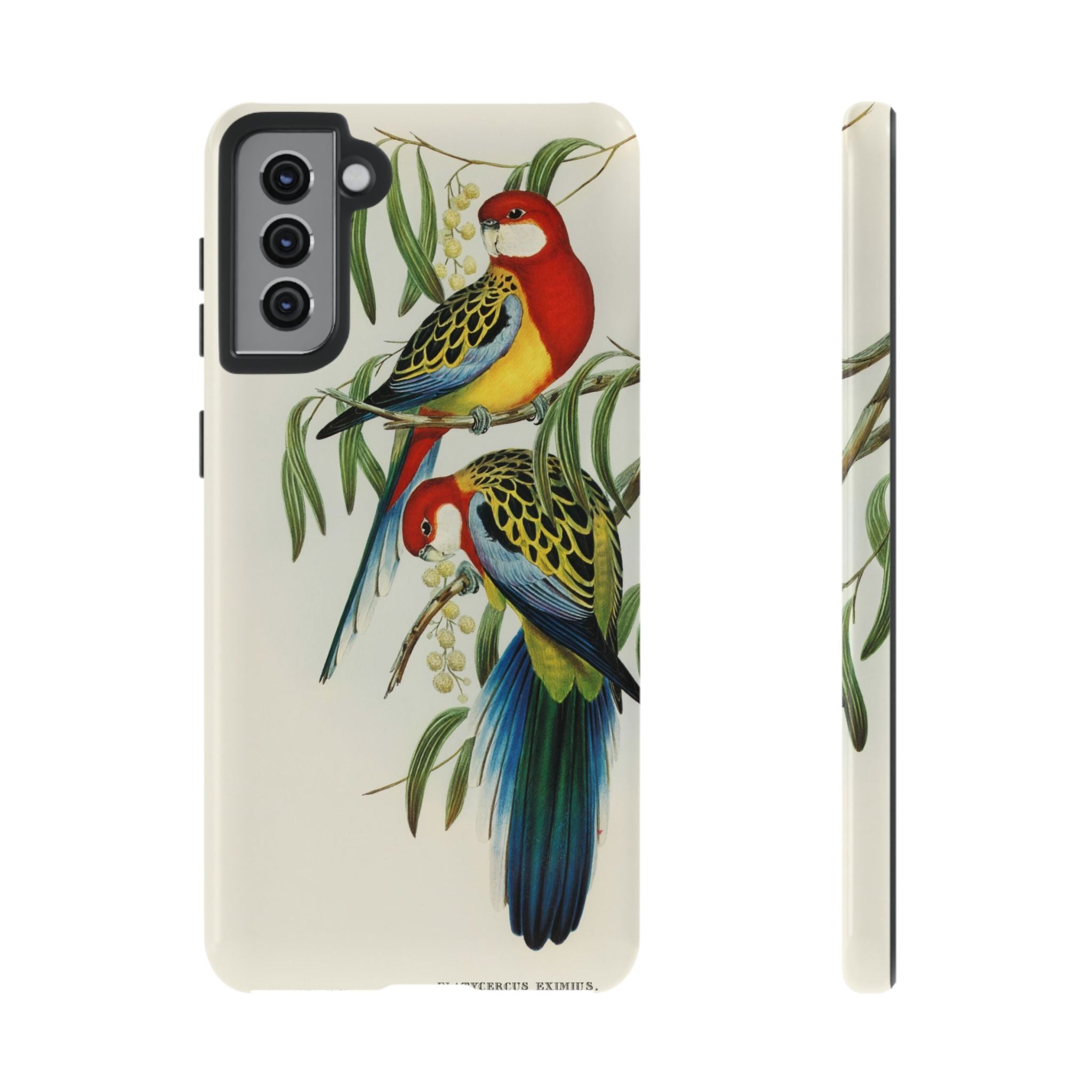 Rosehill Parakeet by Elizabeth Gould - Tough Case