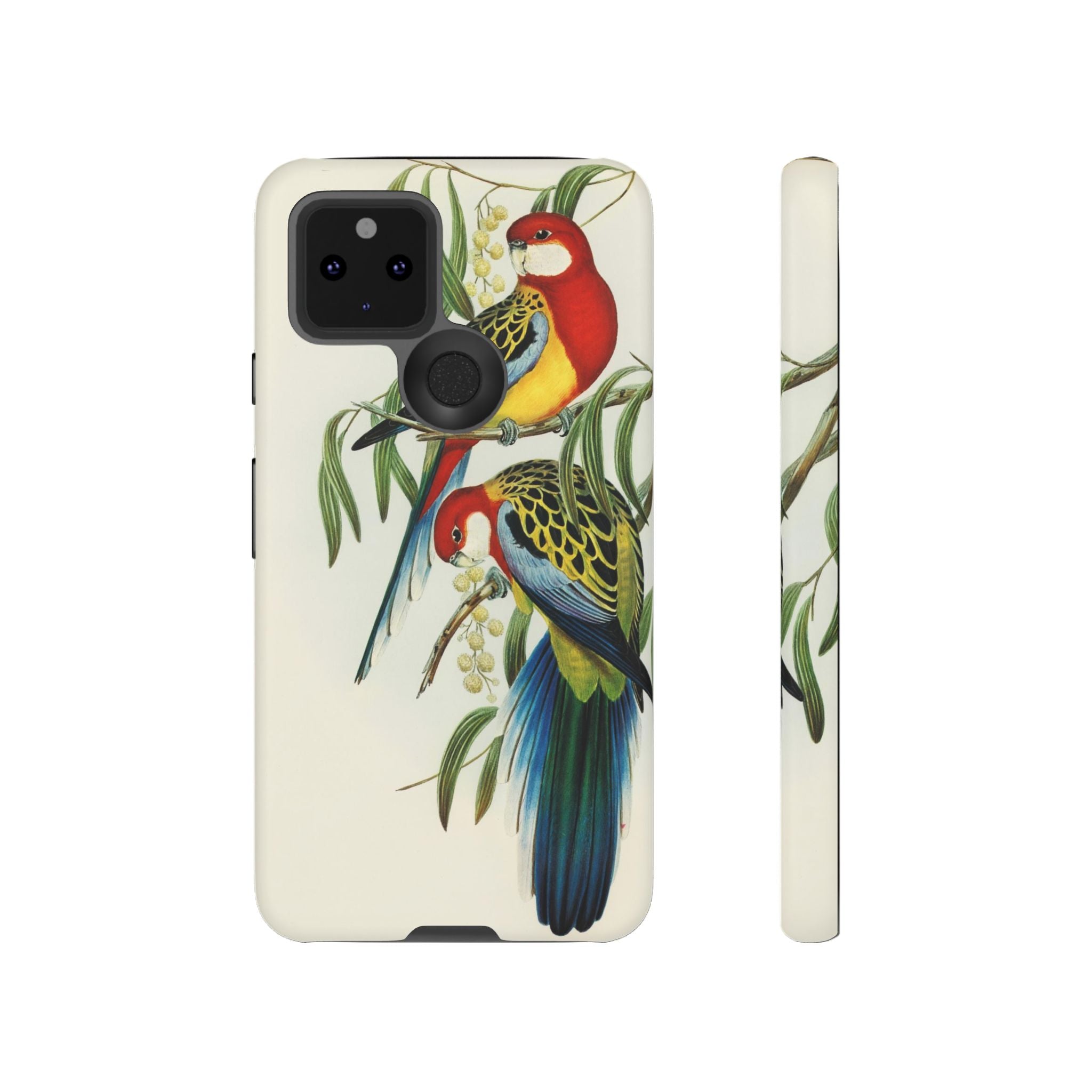 Rosehill Parakeet by Elizabeth Gould - Tough Case