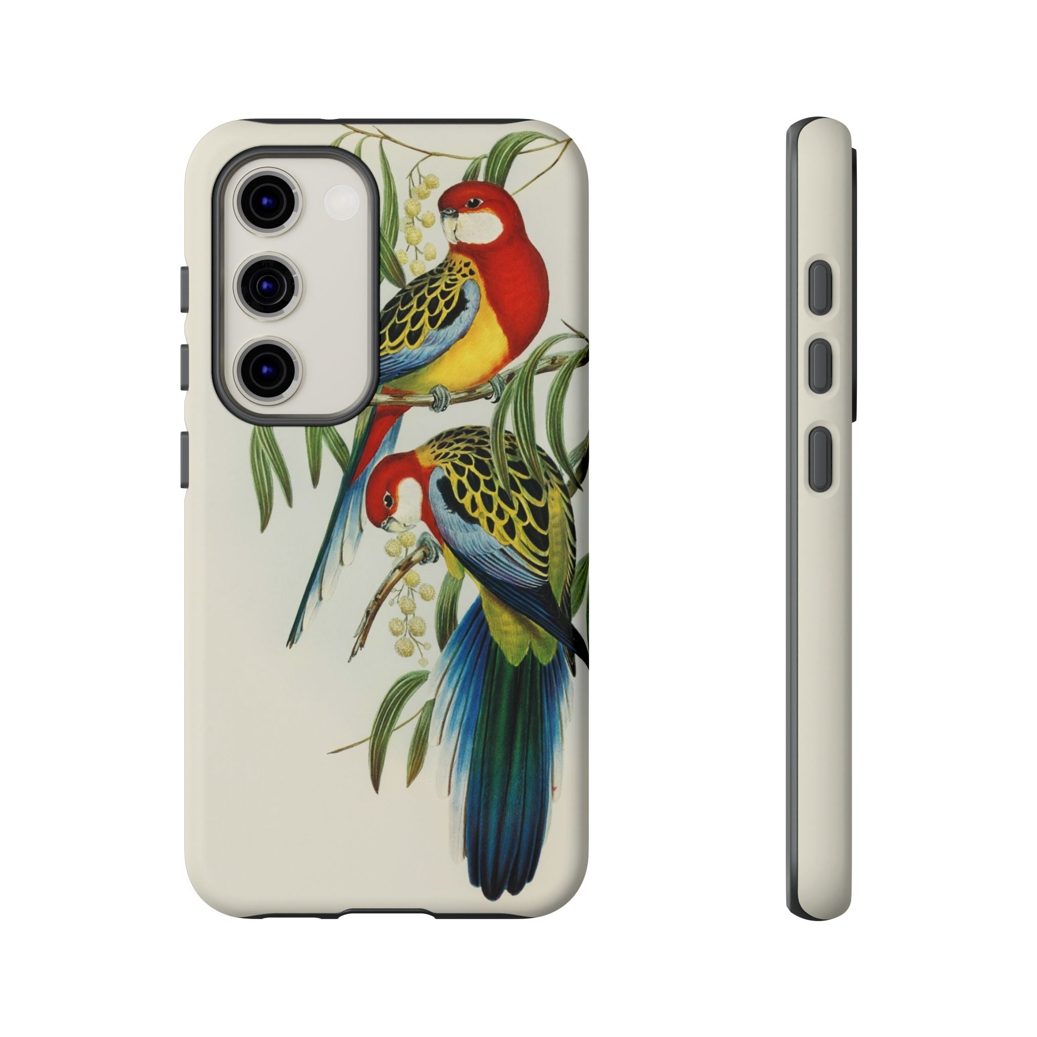 Rosehill Parakeet by Elizabeth Gould - Tough Case