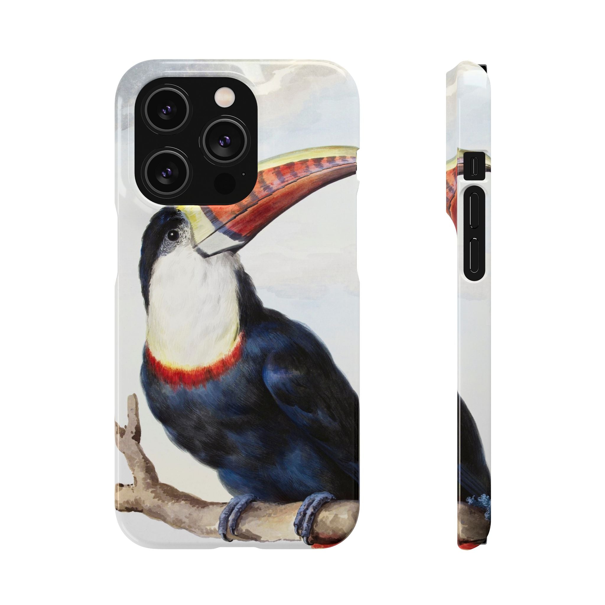 Red-billed Toucan (1748) - Snap Case