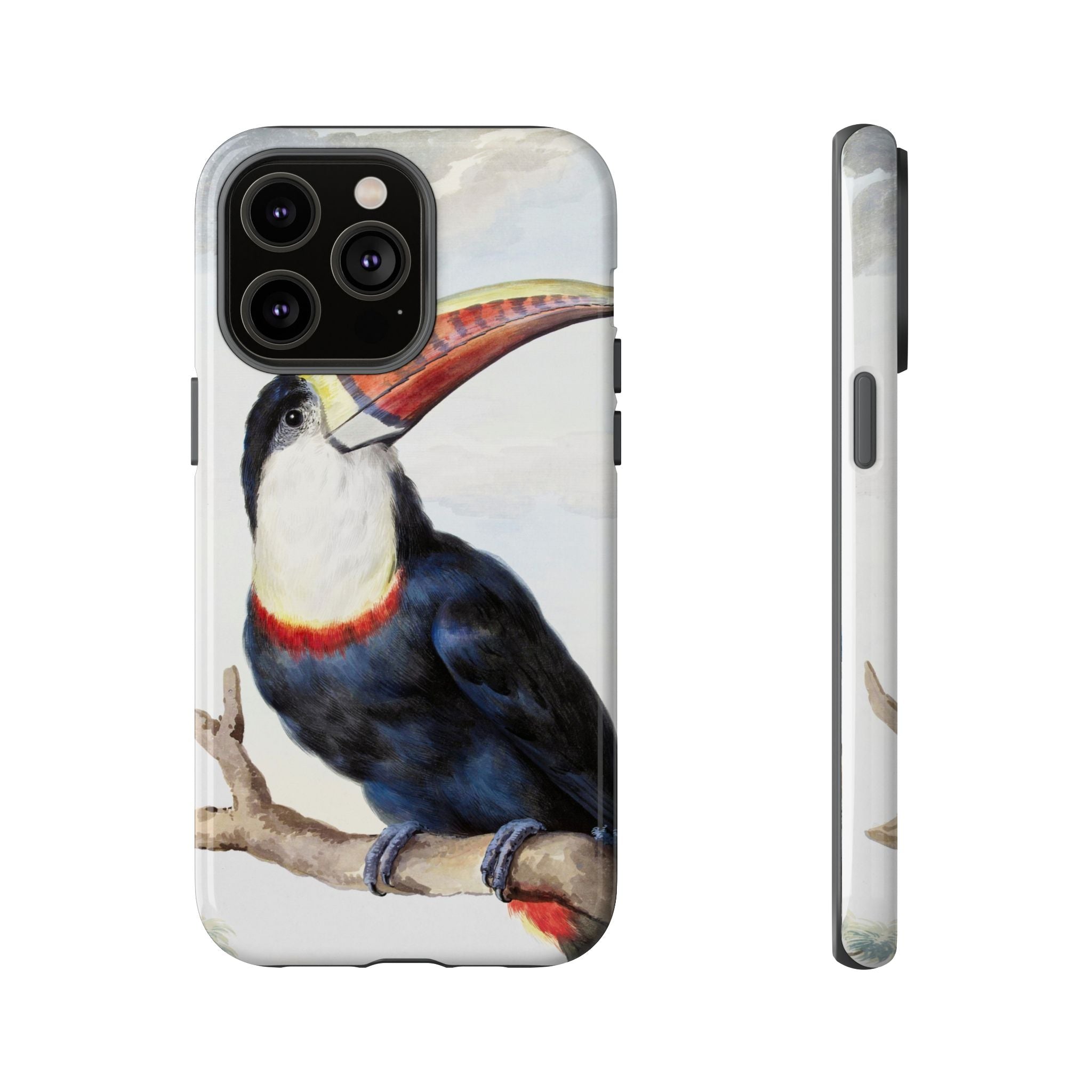 Red-billed Toucan (1748) - Tough Case