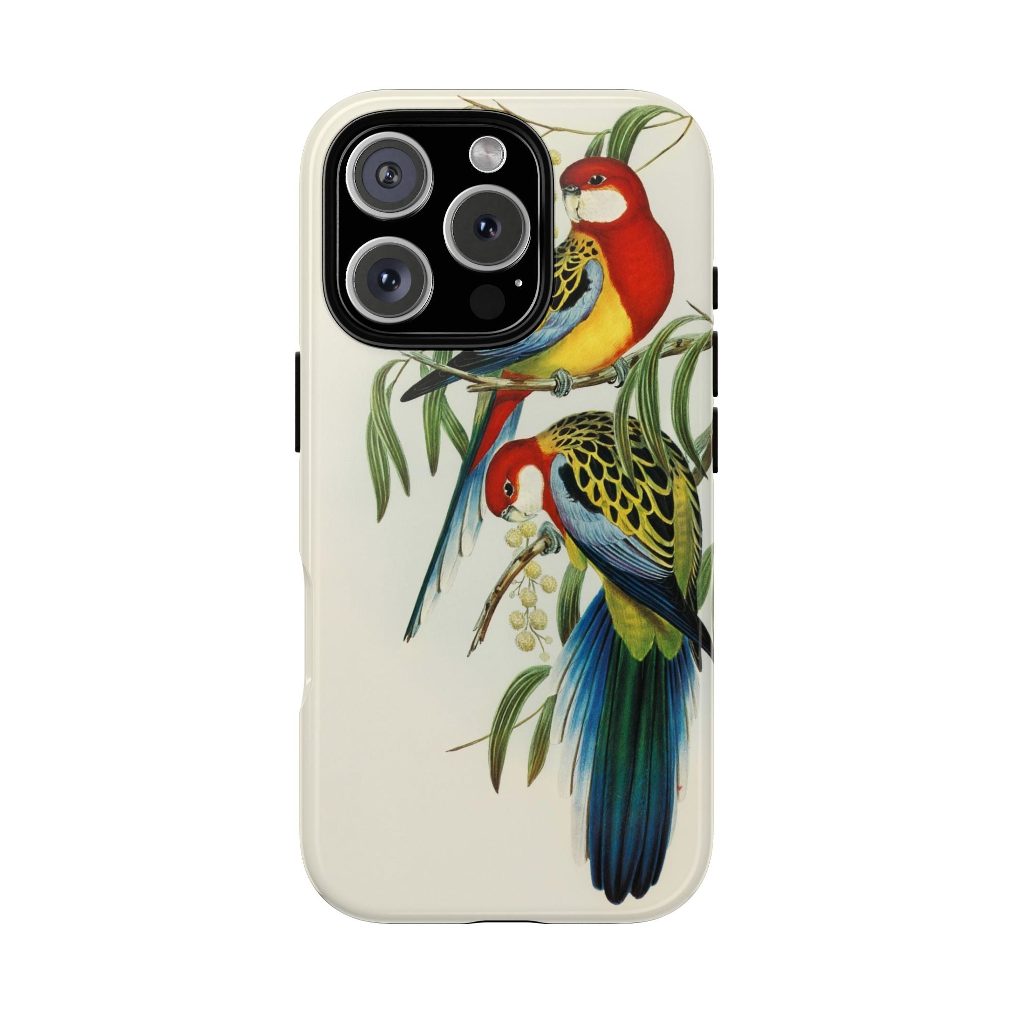 Rosehill Parakeet by Elizabeth Gould - Tough Case