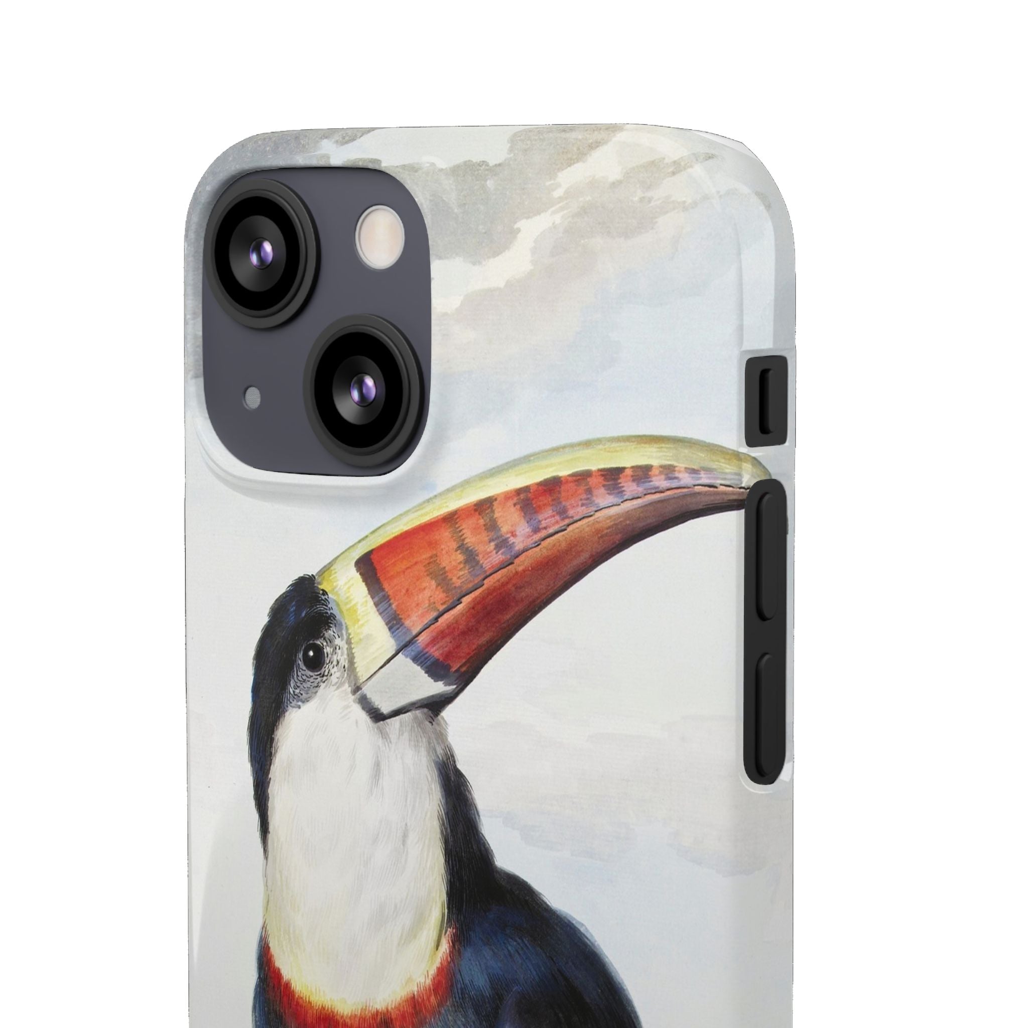 Red-billed Toucan (1748) - Snap Case
