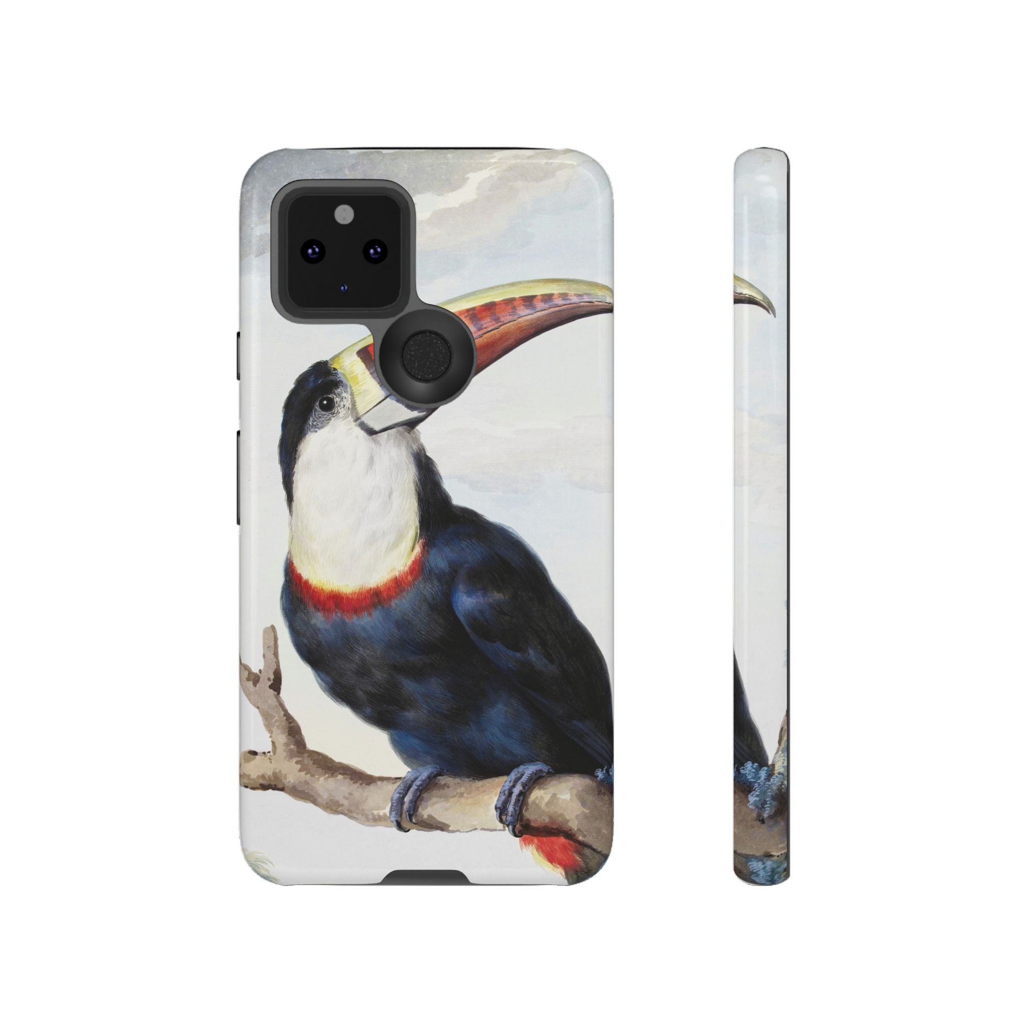 Red-billed Toucan (1748) - Tough Case