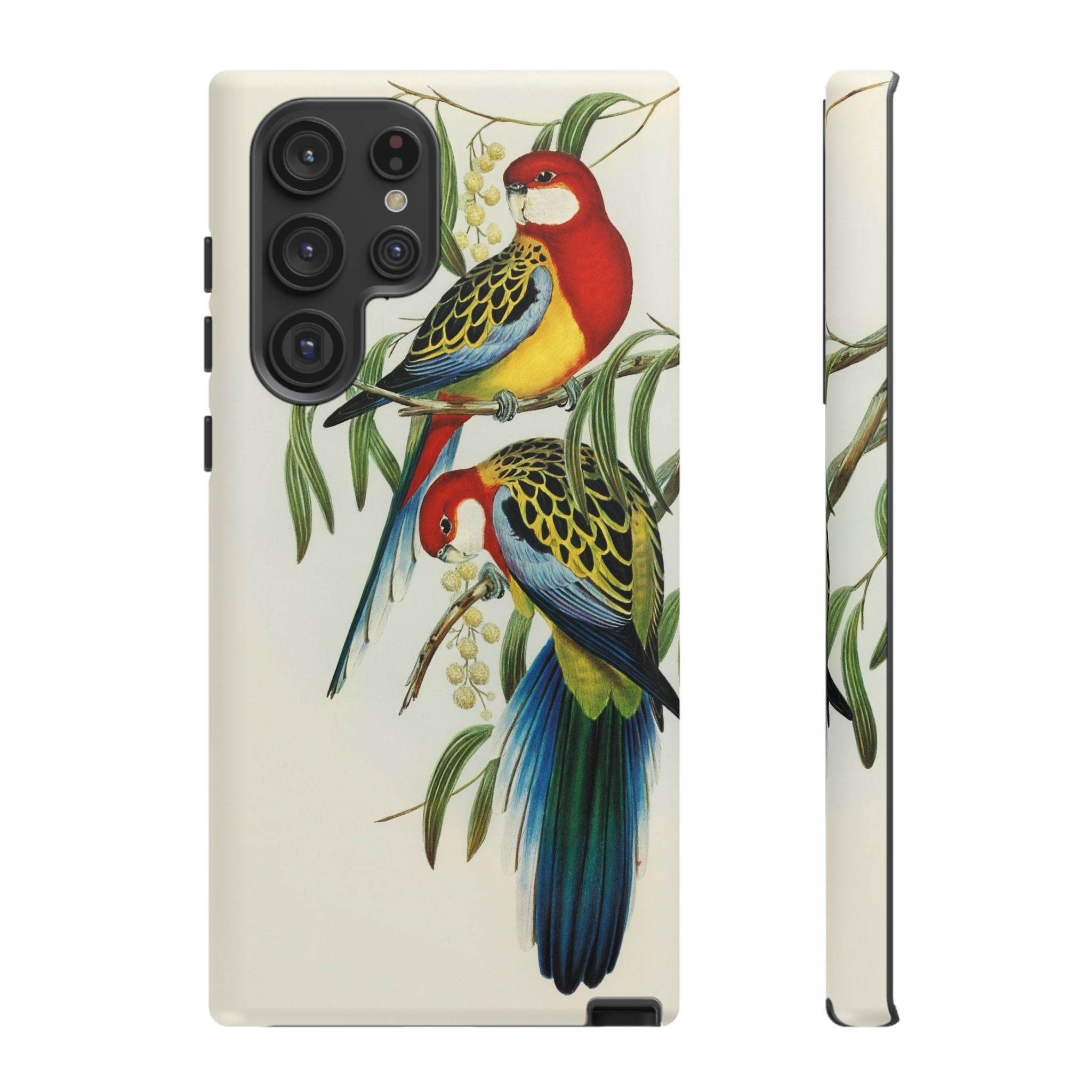 Rosehill Parakeet by Elizabeth Gould - Tough Case