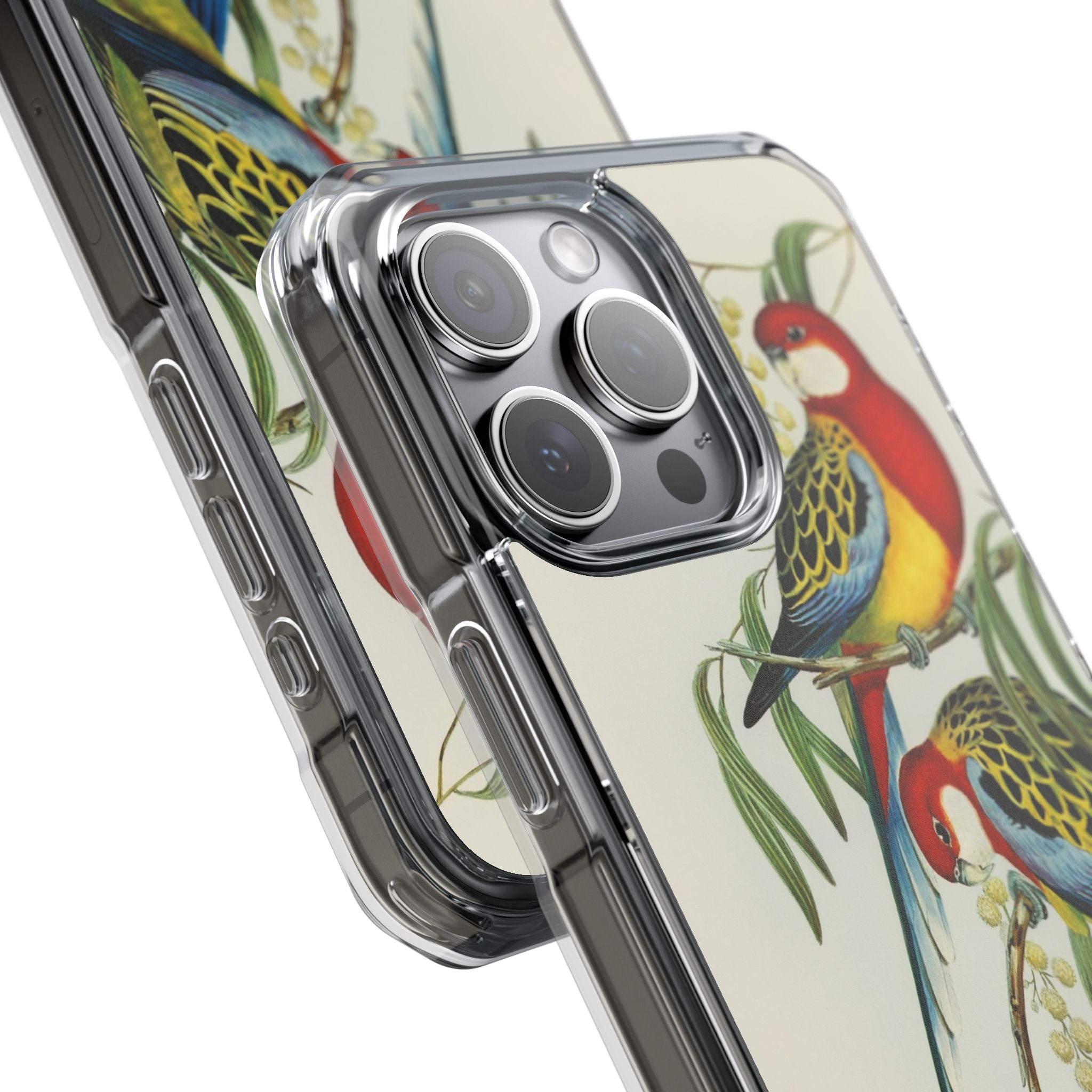 Rosehill Parakeet by Elizabeth Gould - Magnetic Clear Impact Case