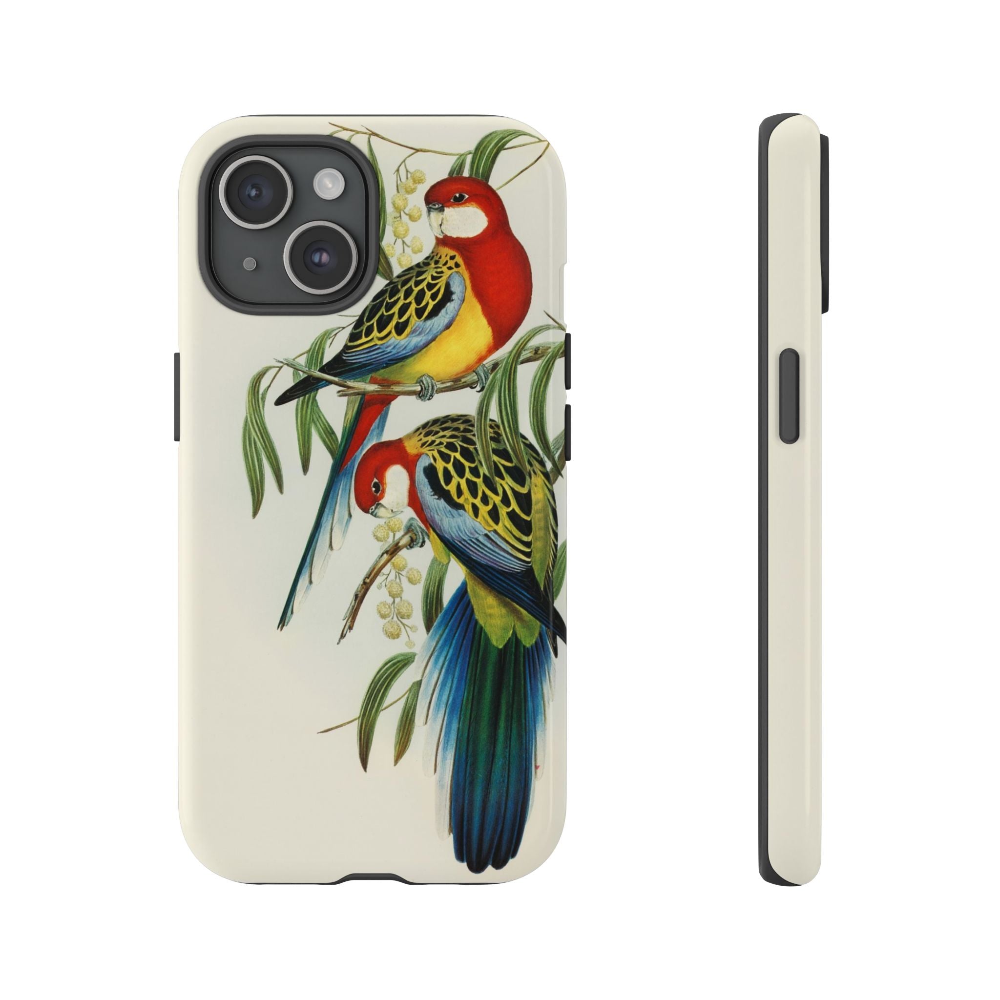 Rosehill Parakeet by Elizabeth Gould - Tough Case