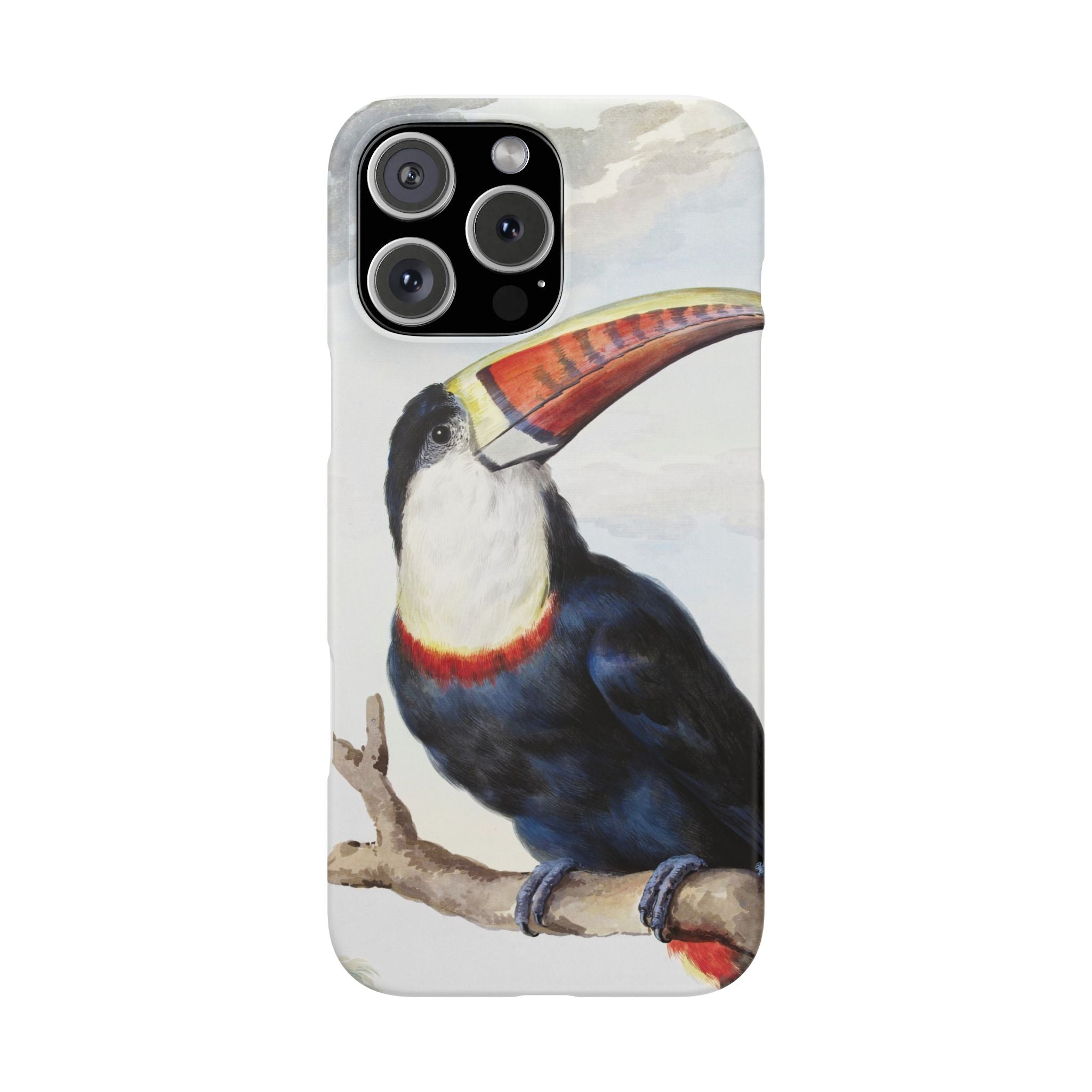 Red-billed Toucan (1748) - Snap Case