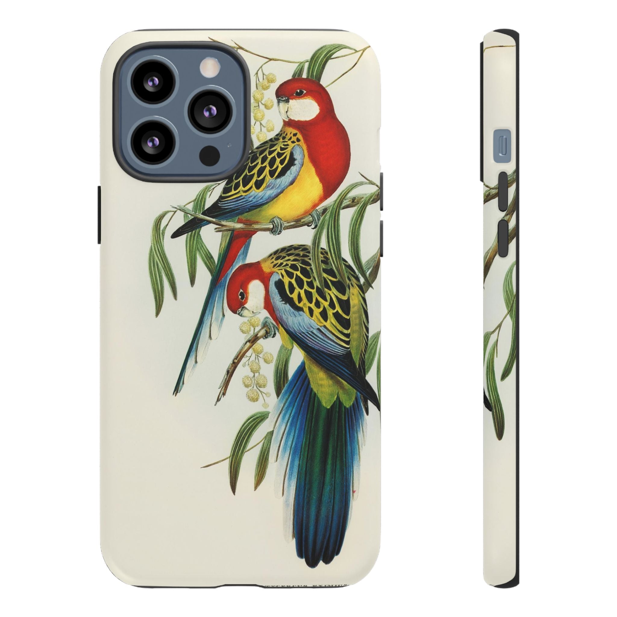 Rosehill Parakeet by Elizabeth Gould - Tough Case